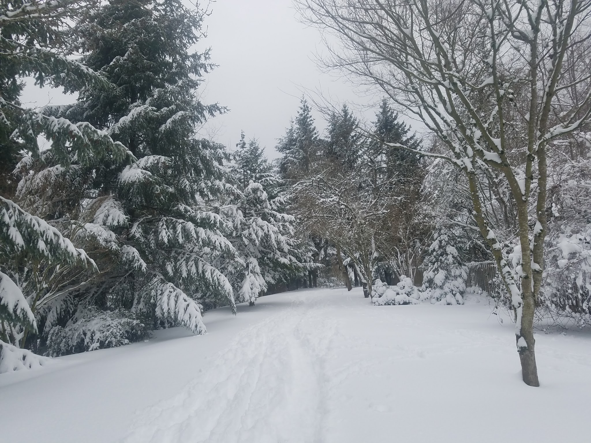 Foege Park - Portland, OR