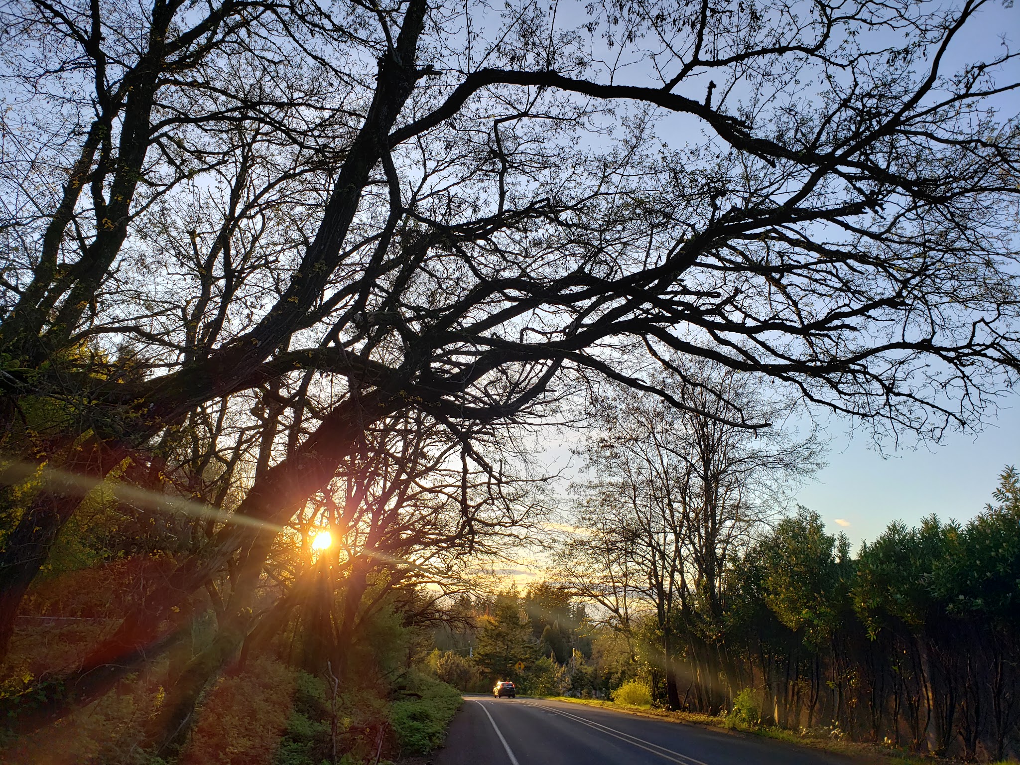 Forest Hills Park - Portland, OR