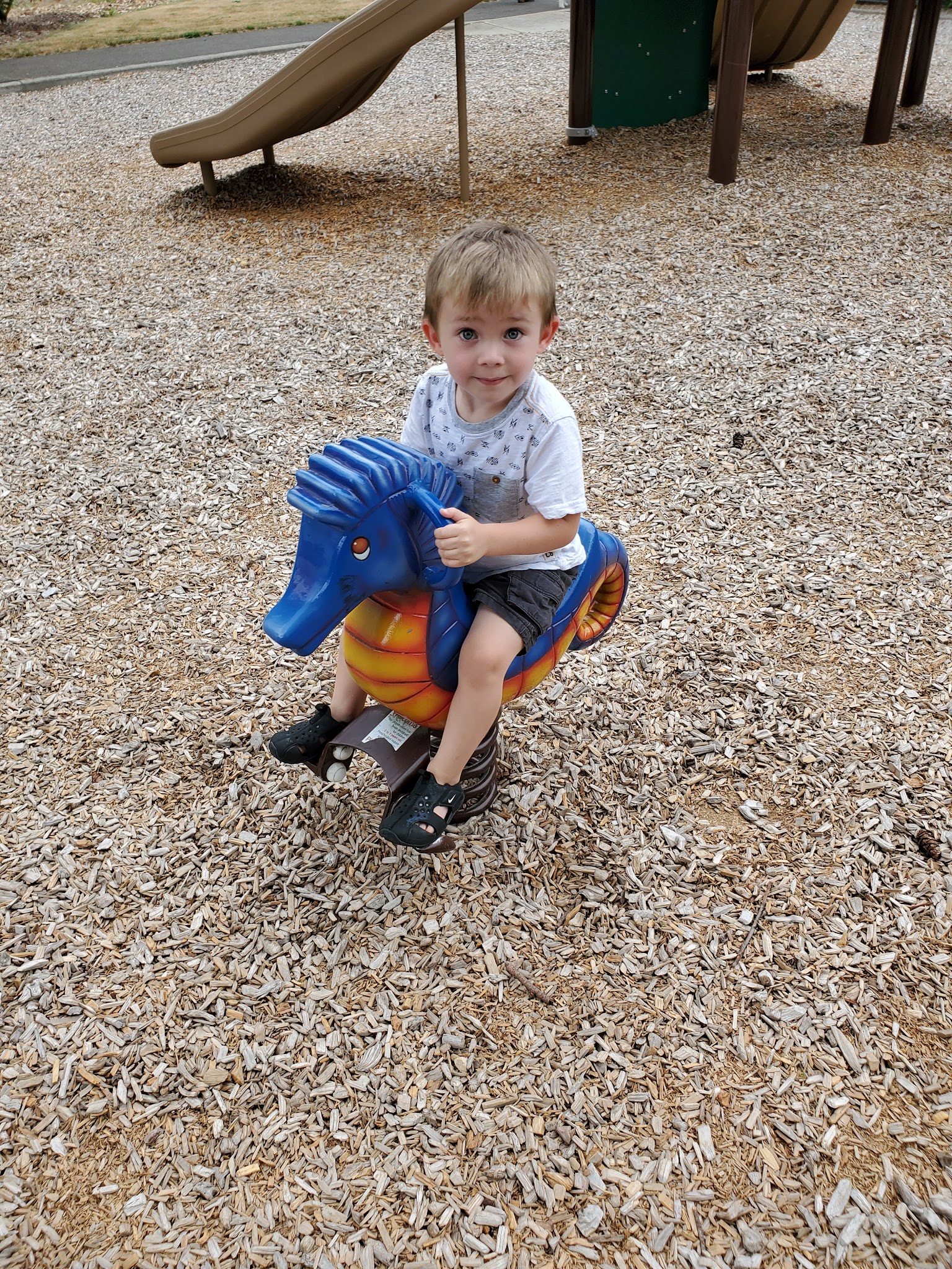 Forest Hills Park - Portland, OR