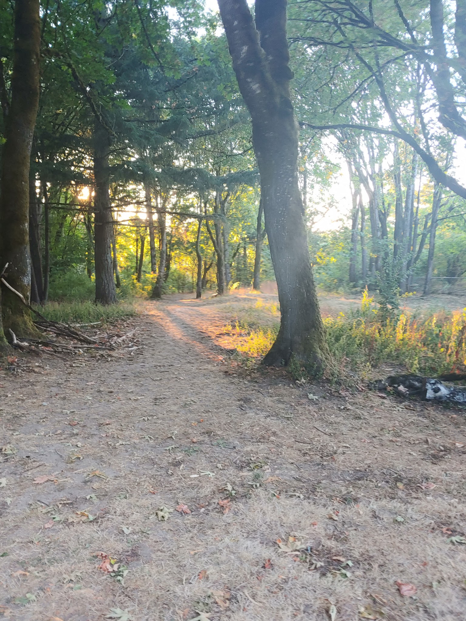 Forest Hills Park - Portland, OR