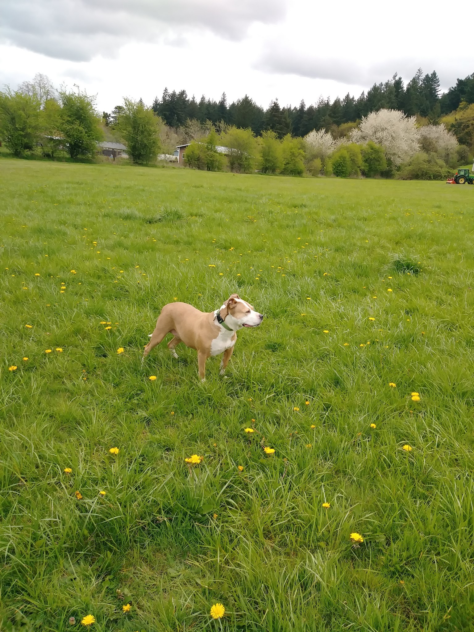 Gates Park - Portland, OR