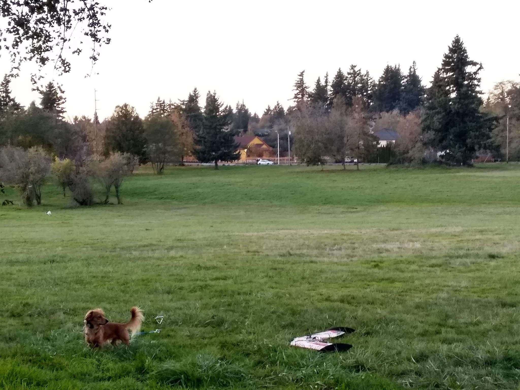 Gates Park - Portland, OR