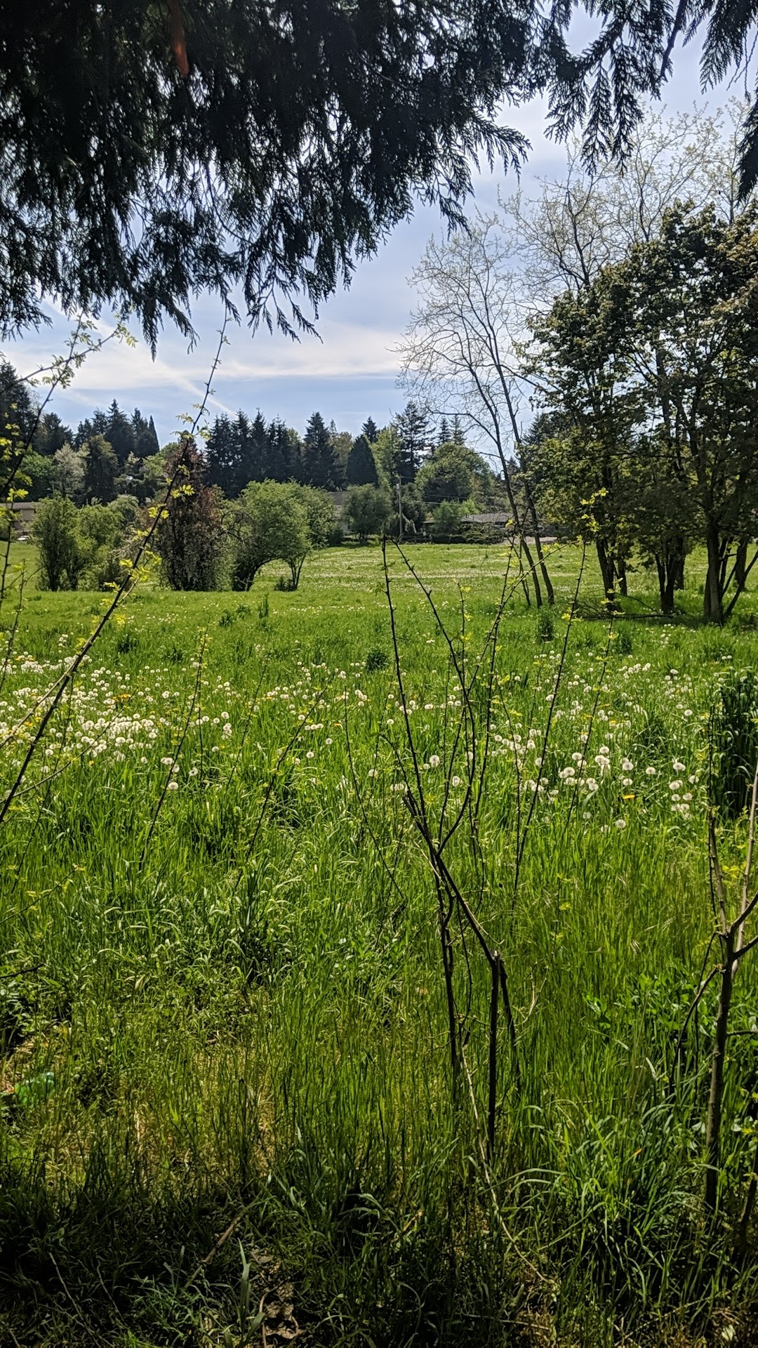 Gates Park - Portland, OR