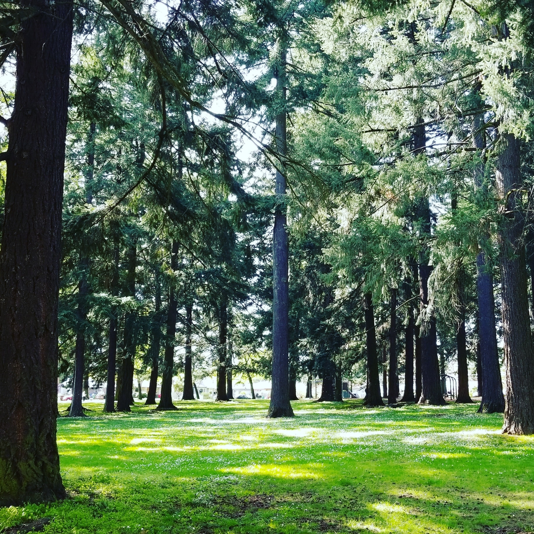 Hancock Park - Portland, OR