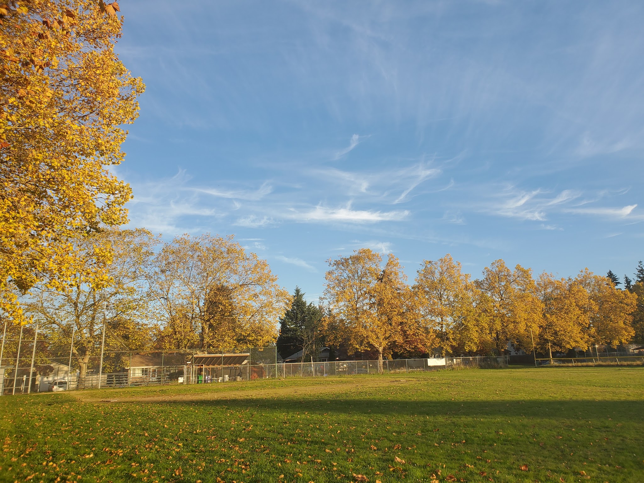 Harrison Park - Portland, OR