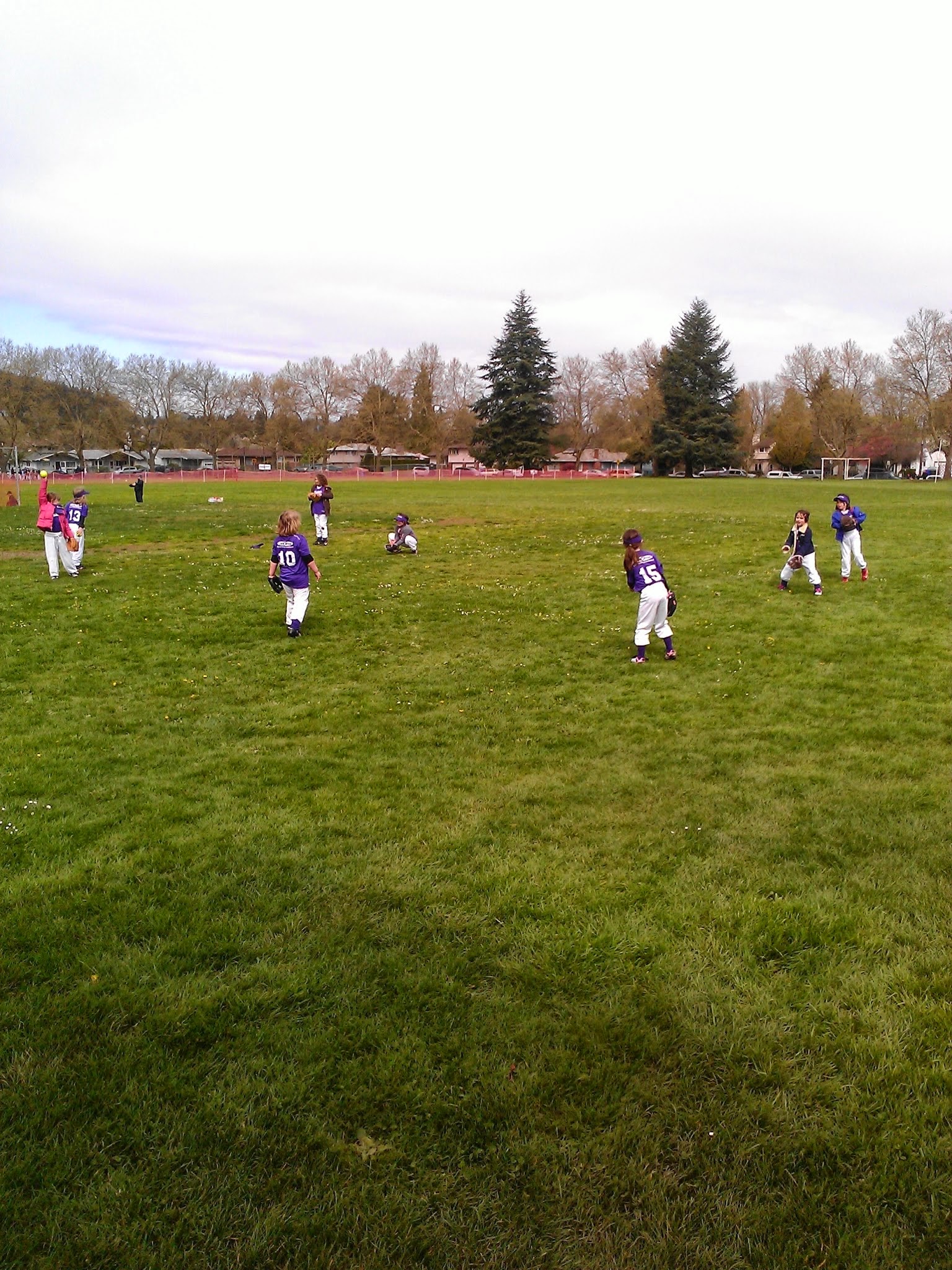 Harrison Park - Portland, OR