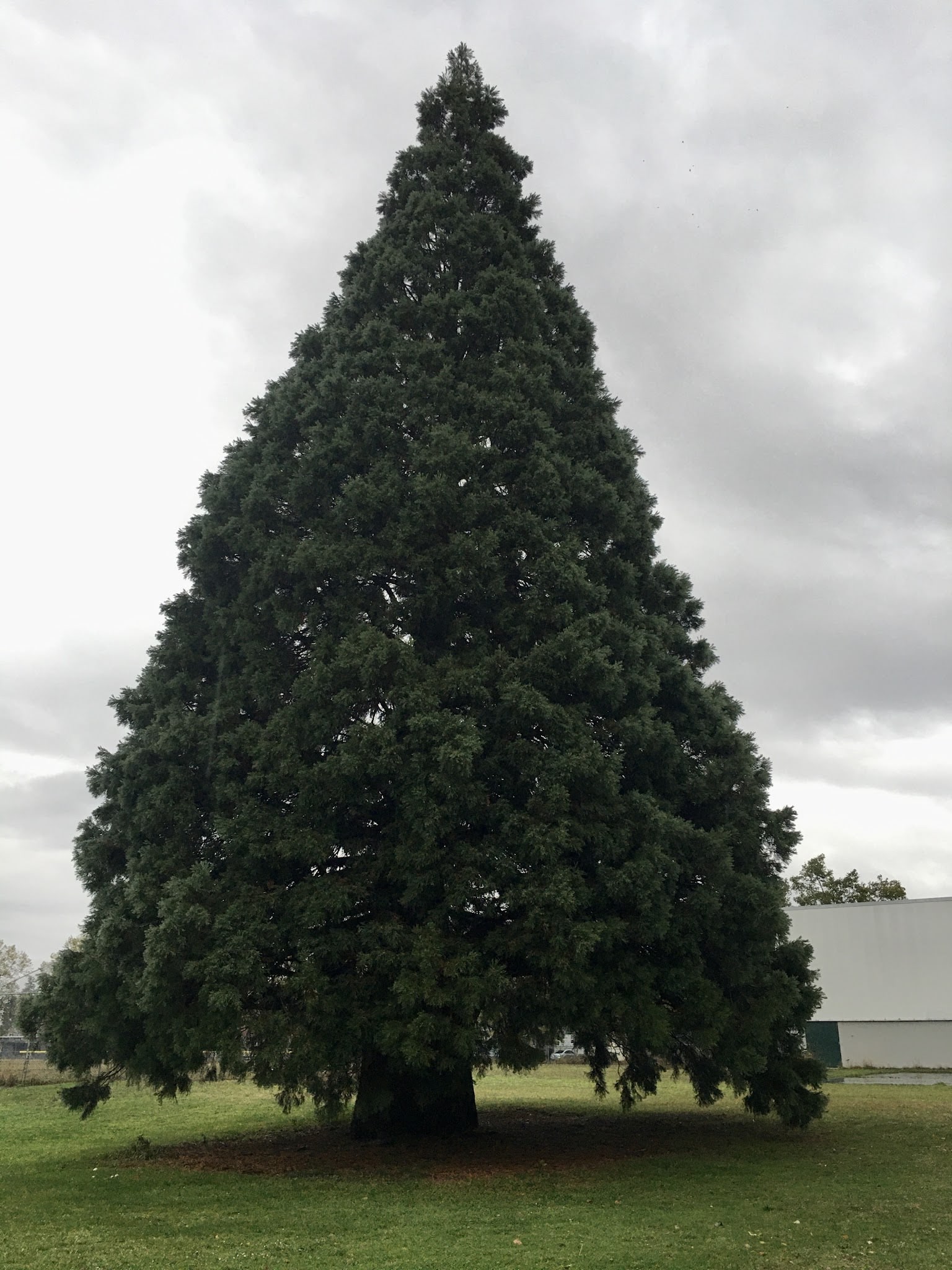 Harrison Park - Portland, OR