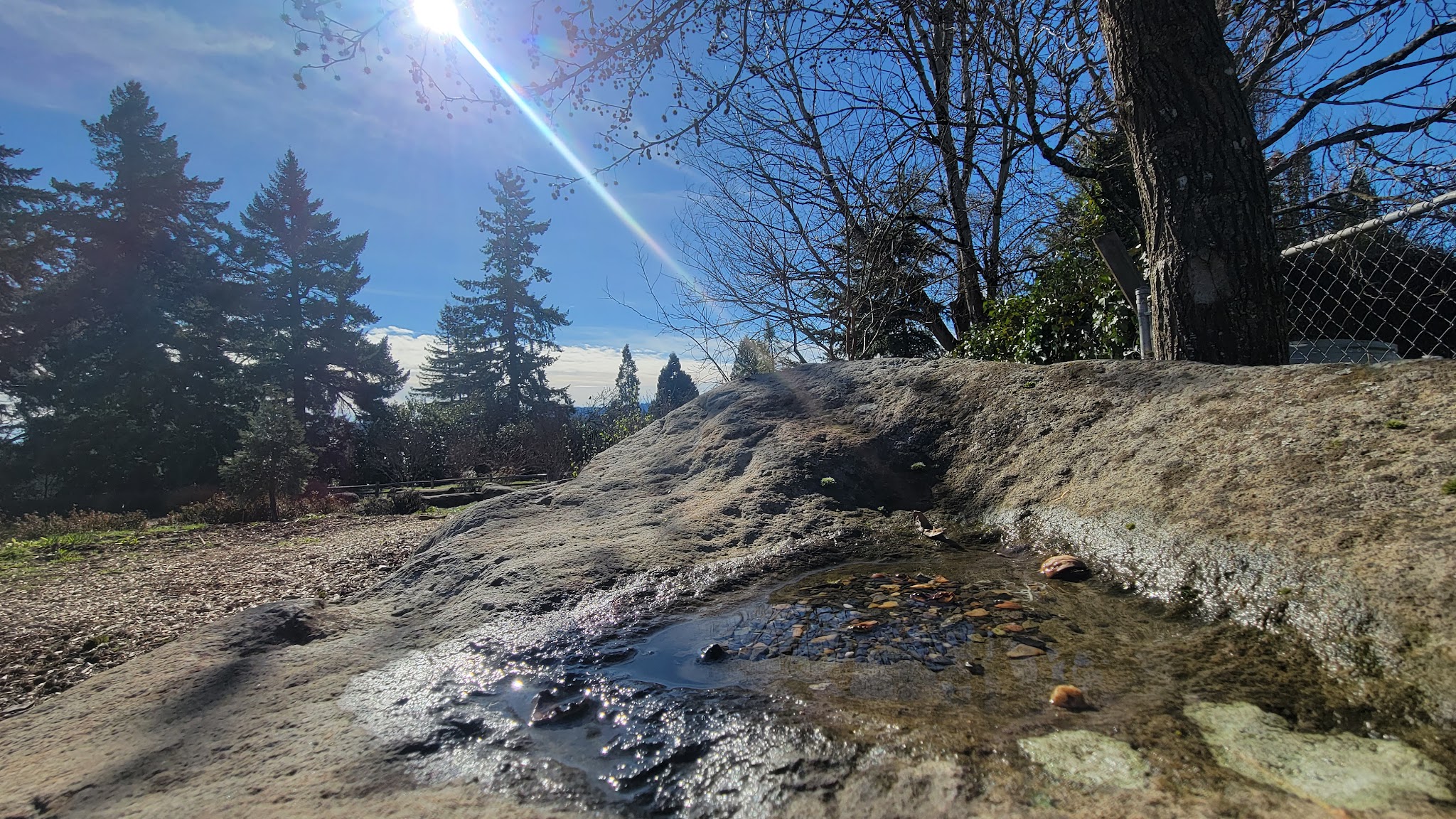 Hazeltine Park - Portland, OR