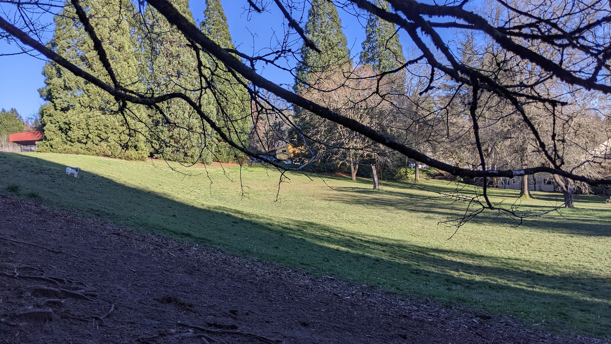 Hillsdale City Park - Portland, OR