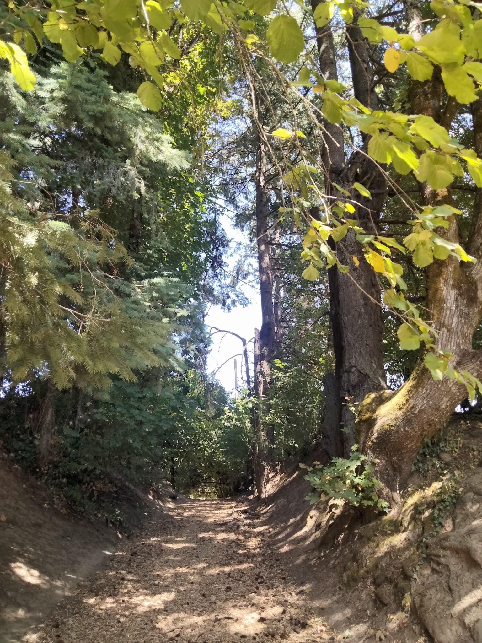 Hillsdale City Park - Portland, OR