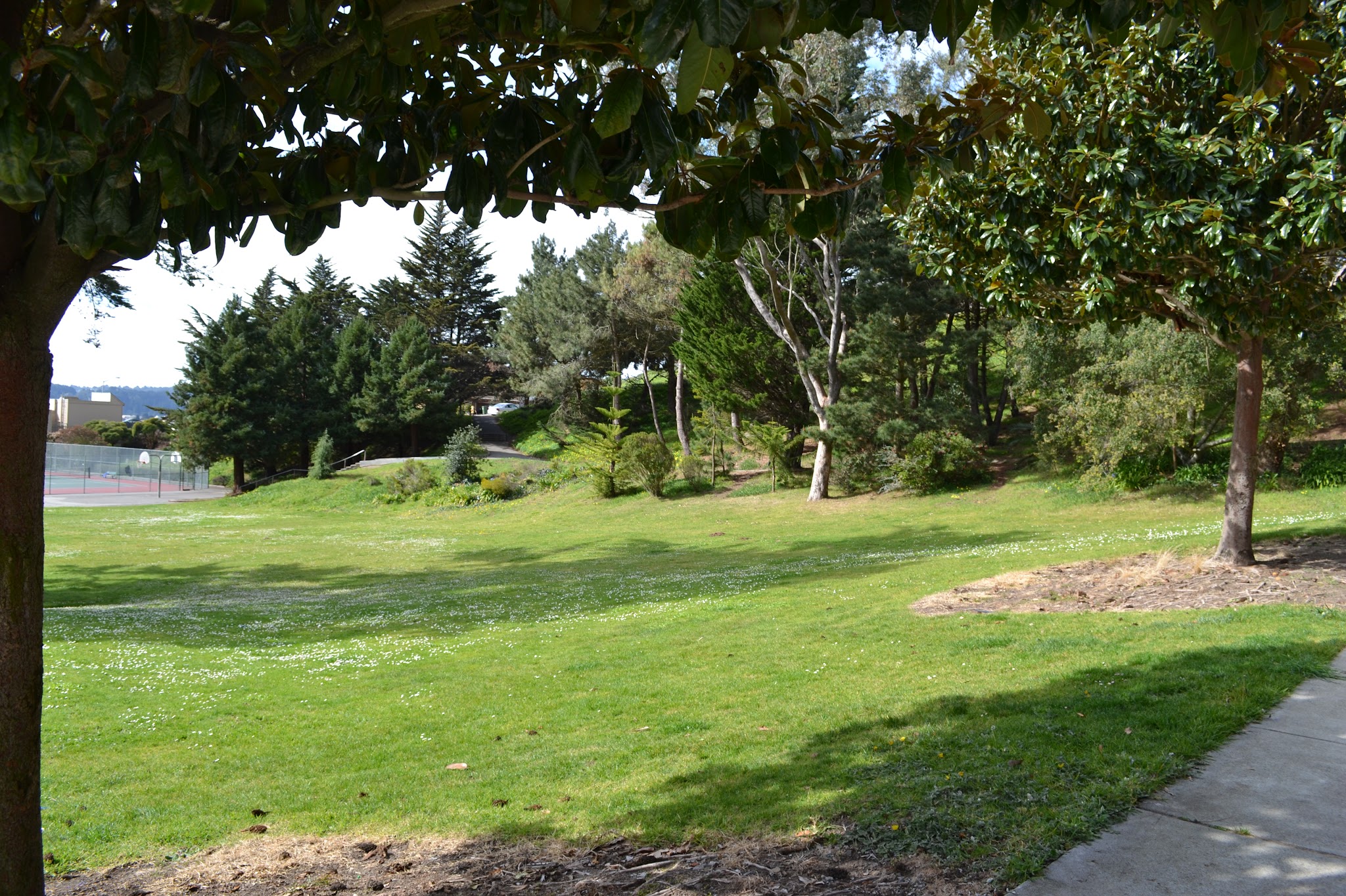 Hillside Park - Portland, OR