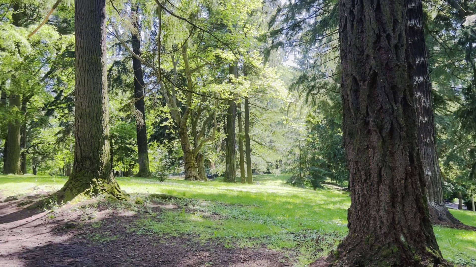 Laurelhurst Park - Portland, OR