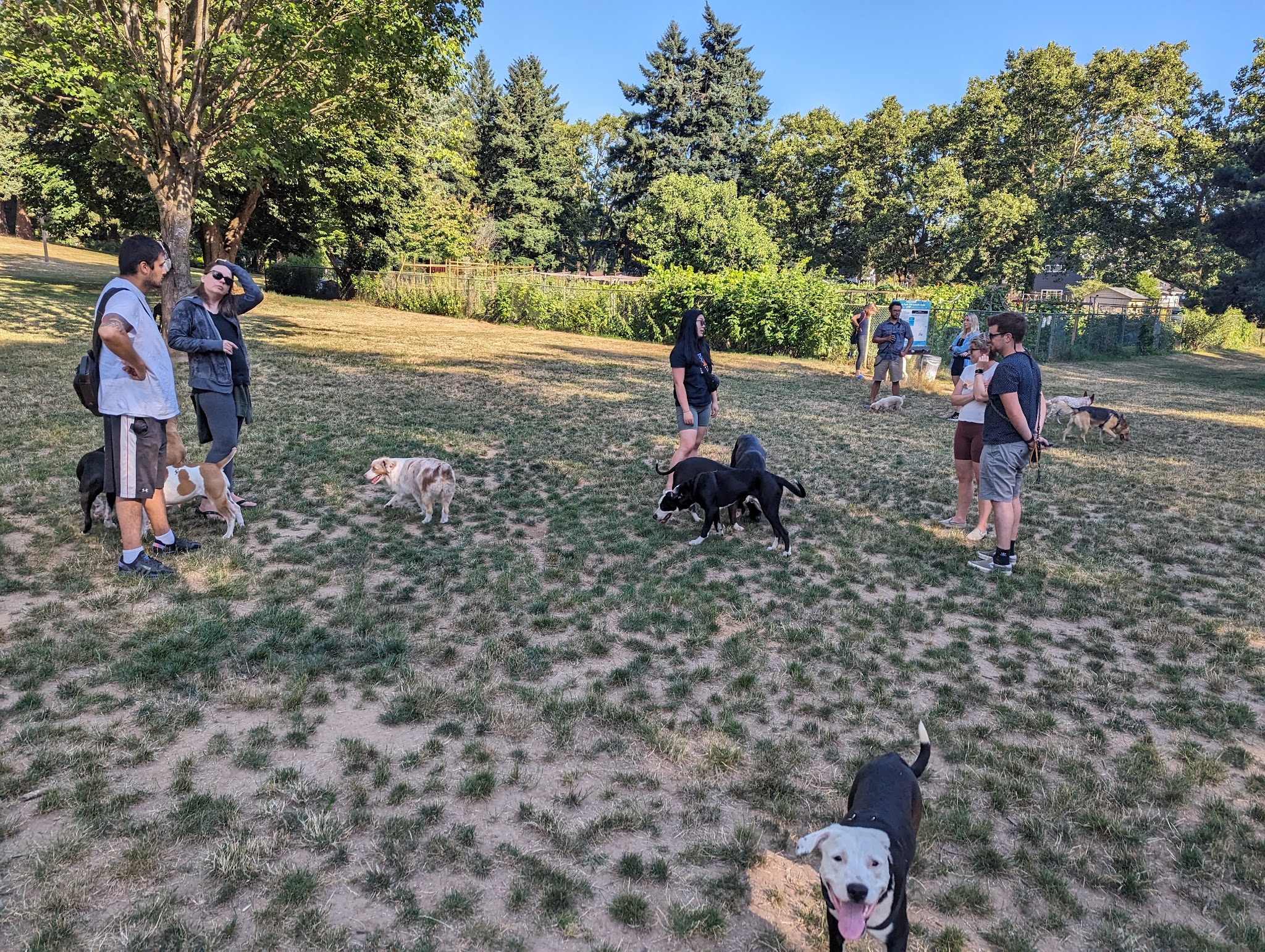 Lents Park Off-Leash Dog Area - Portland, OR