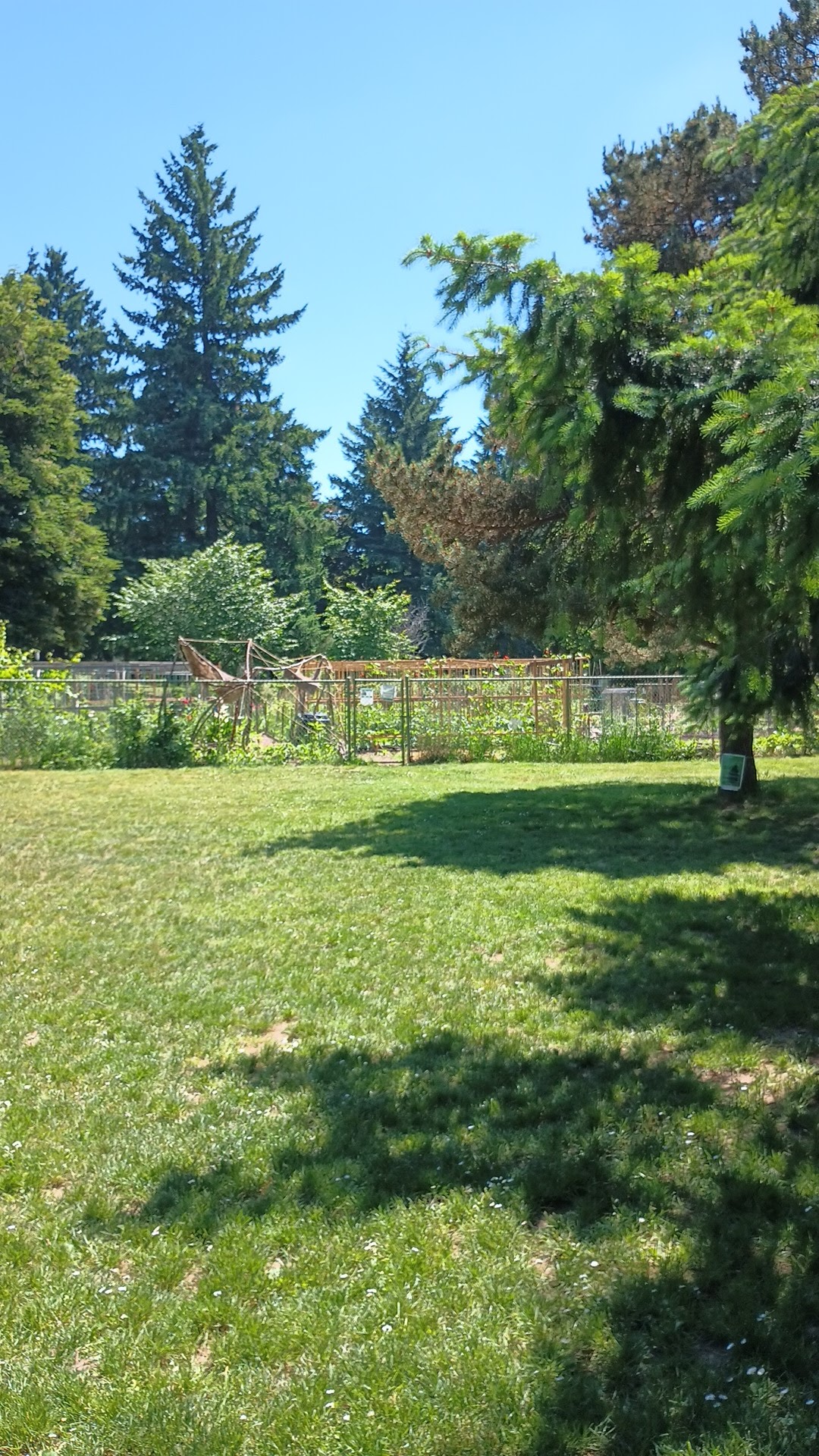 Lents Park Off-Leash Dog Area - Portland, OR