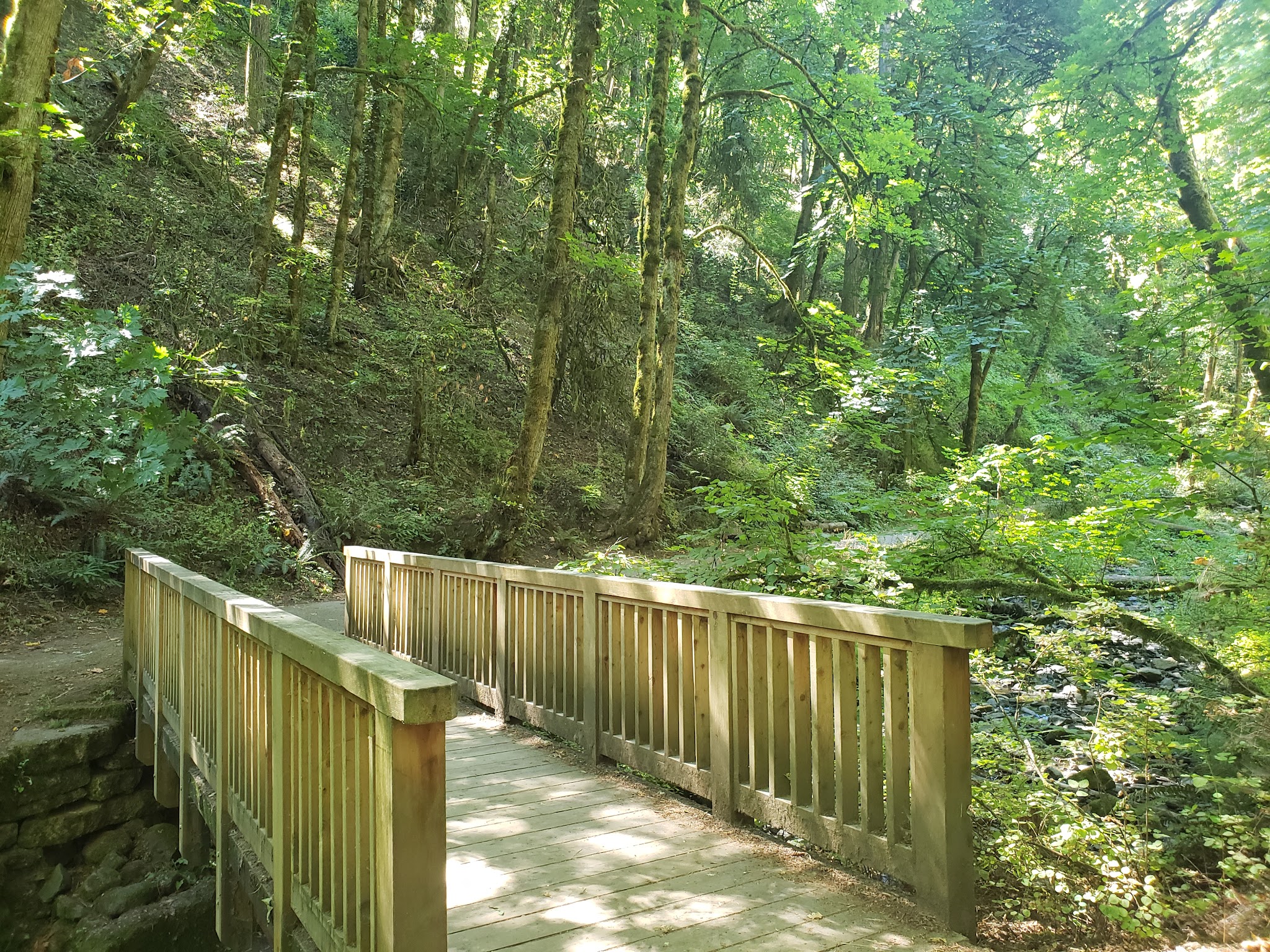 Lower MacLeay Trail - Portland, OR