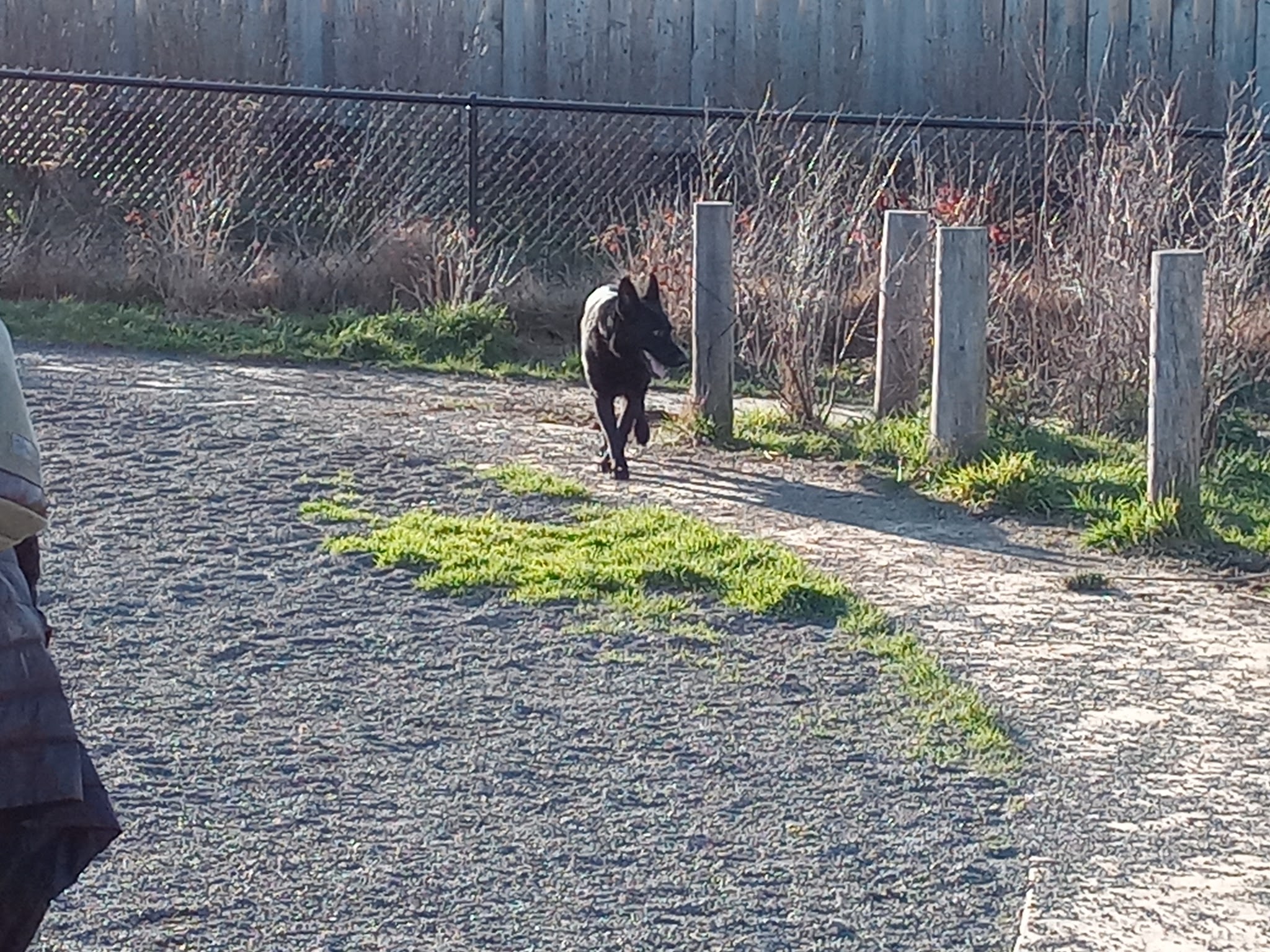 Luuwit View Dog Park - Portland, OR