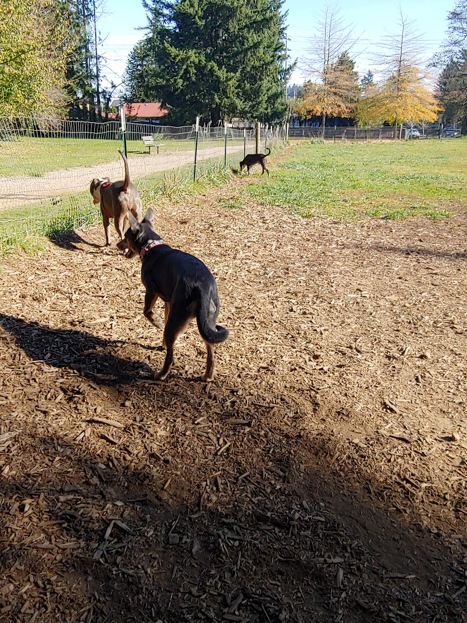 Lynchwood Park - Portland, OR