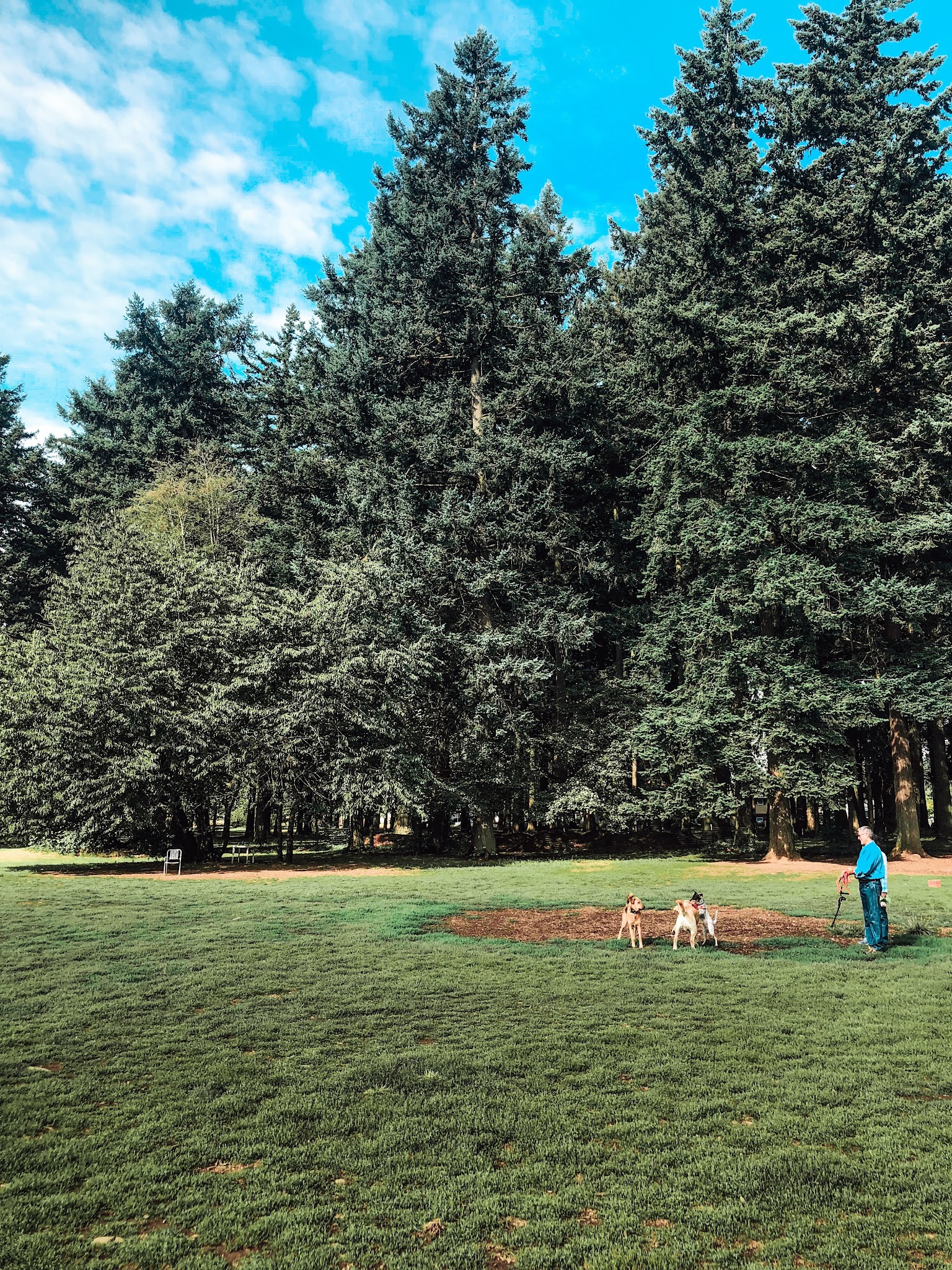 Lynchwood Park - Portland, OR