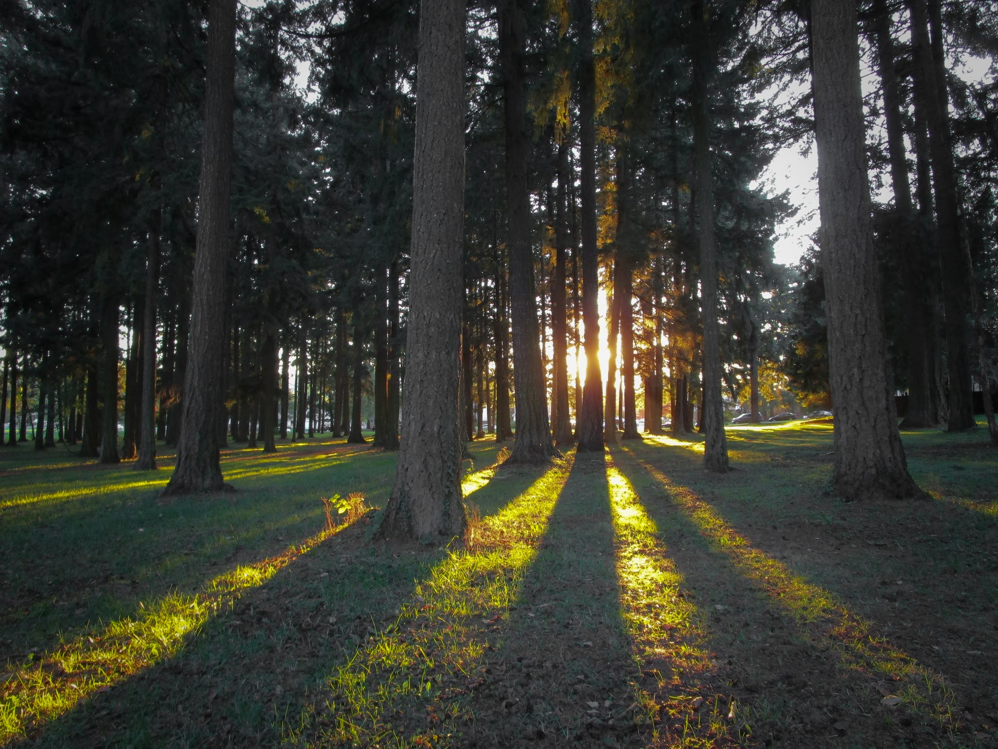 Lynchwood Park - Portland, OR