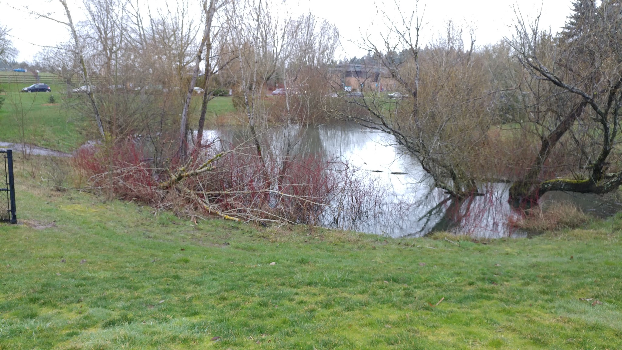 Morgan's Run Park - Portland, OR