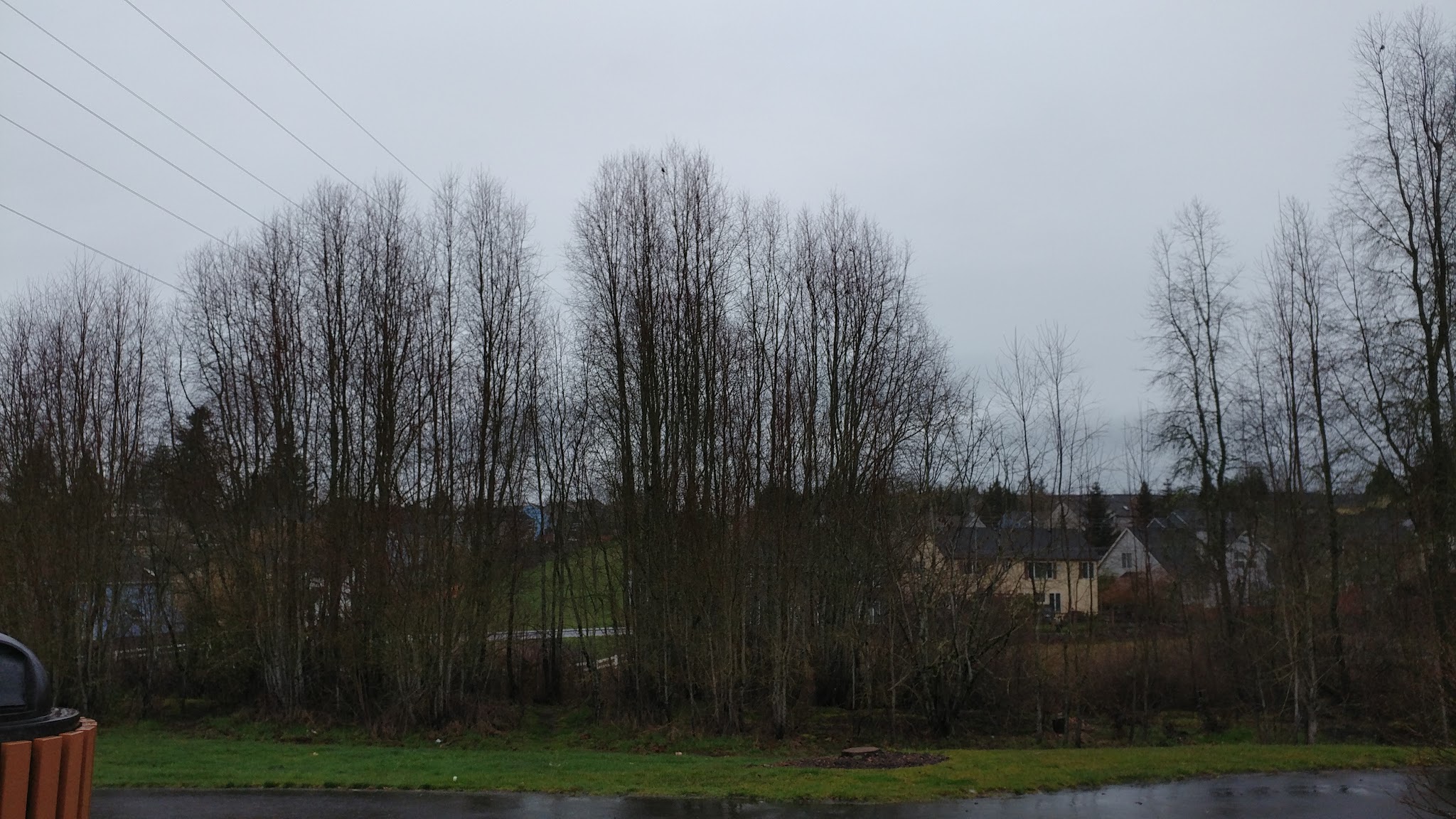 Morgan's Run Park - Portland, OR