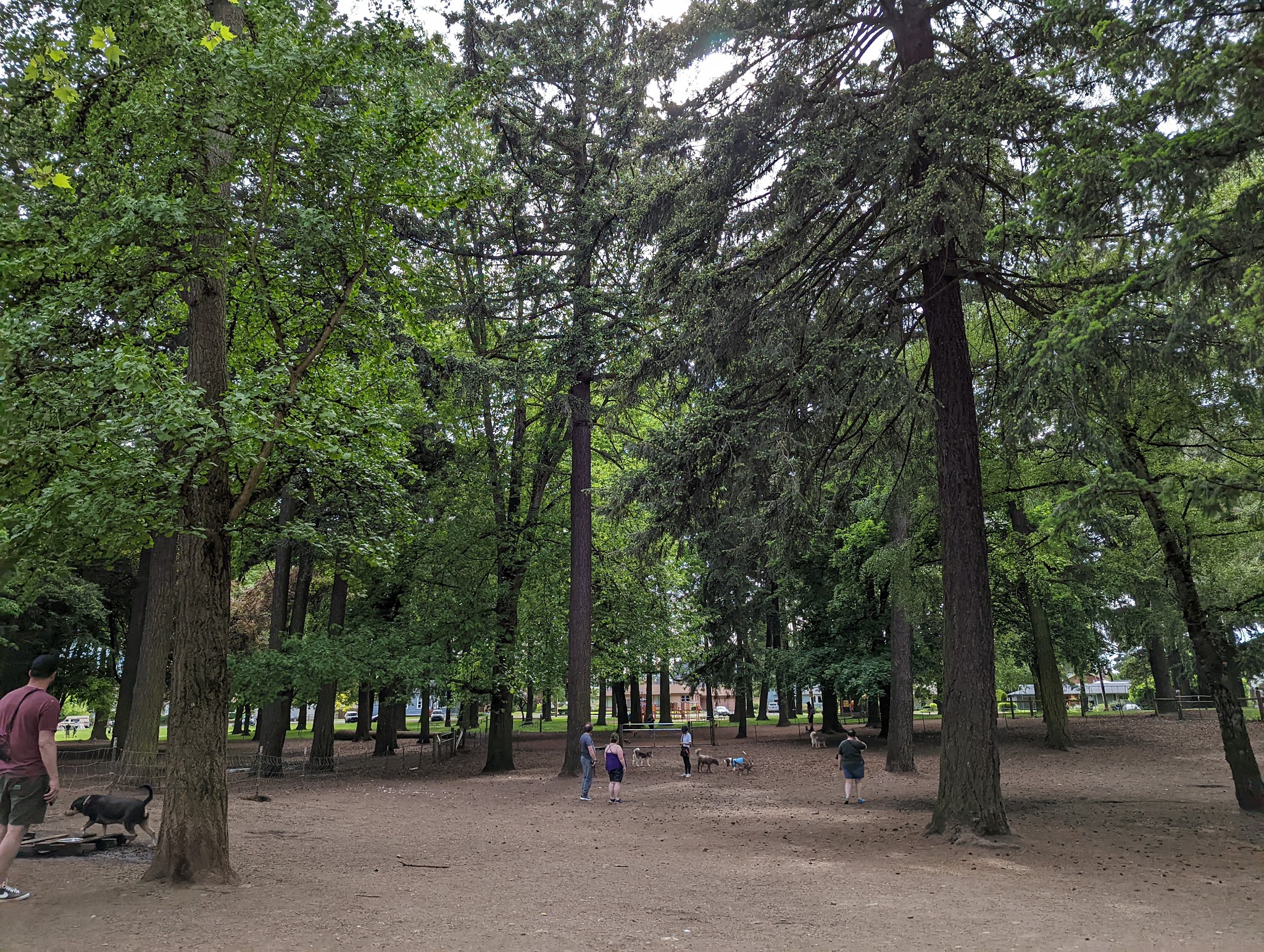 Normandale Dog Park - Portland, OR