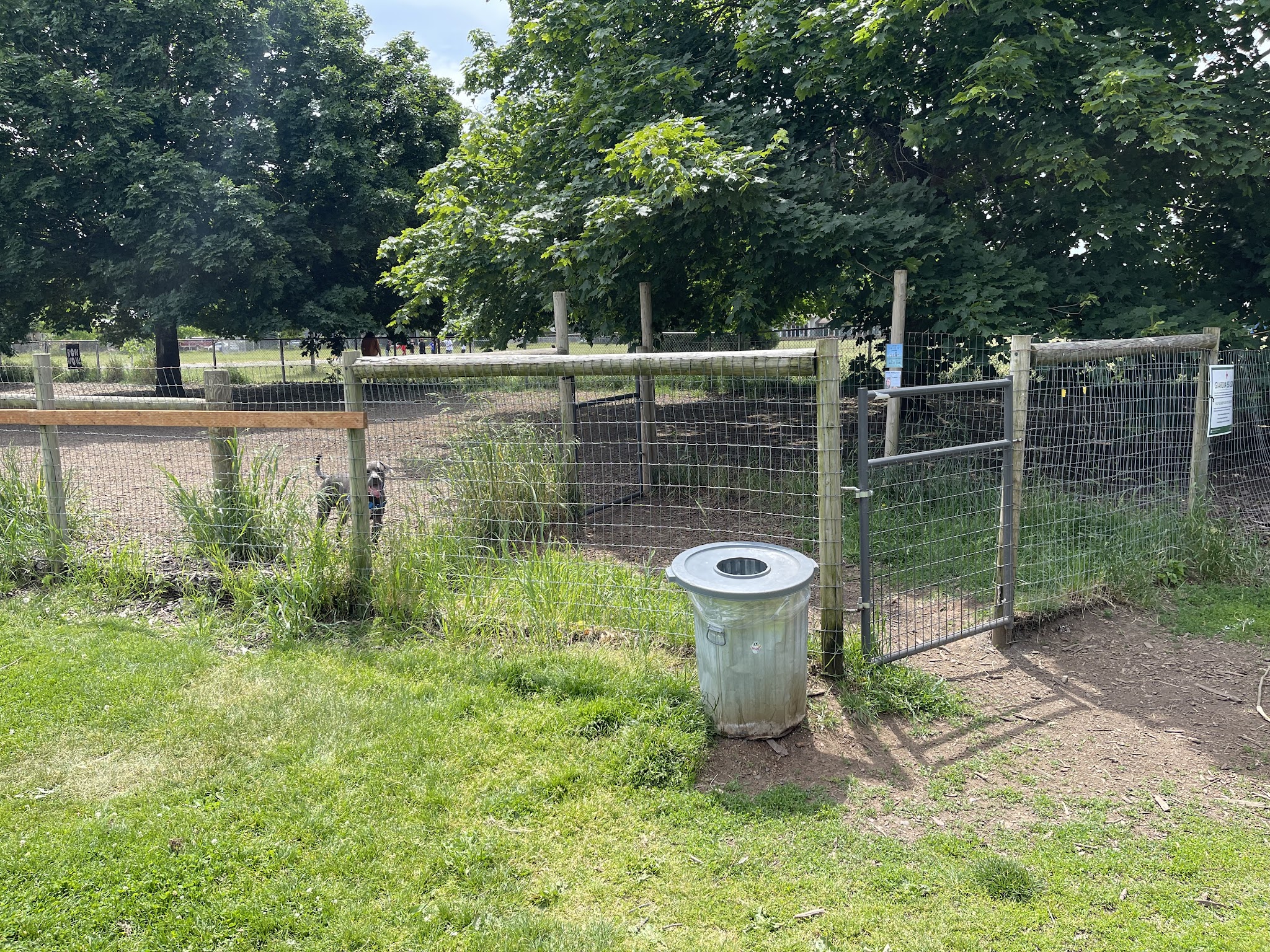 Off-Leash Dog Area - Portland, OR