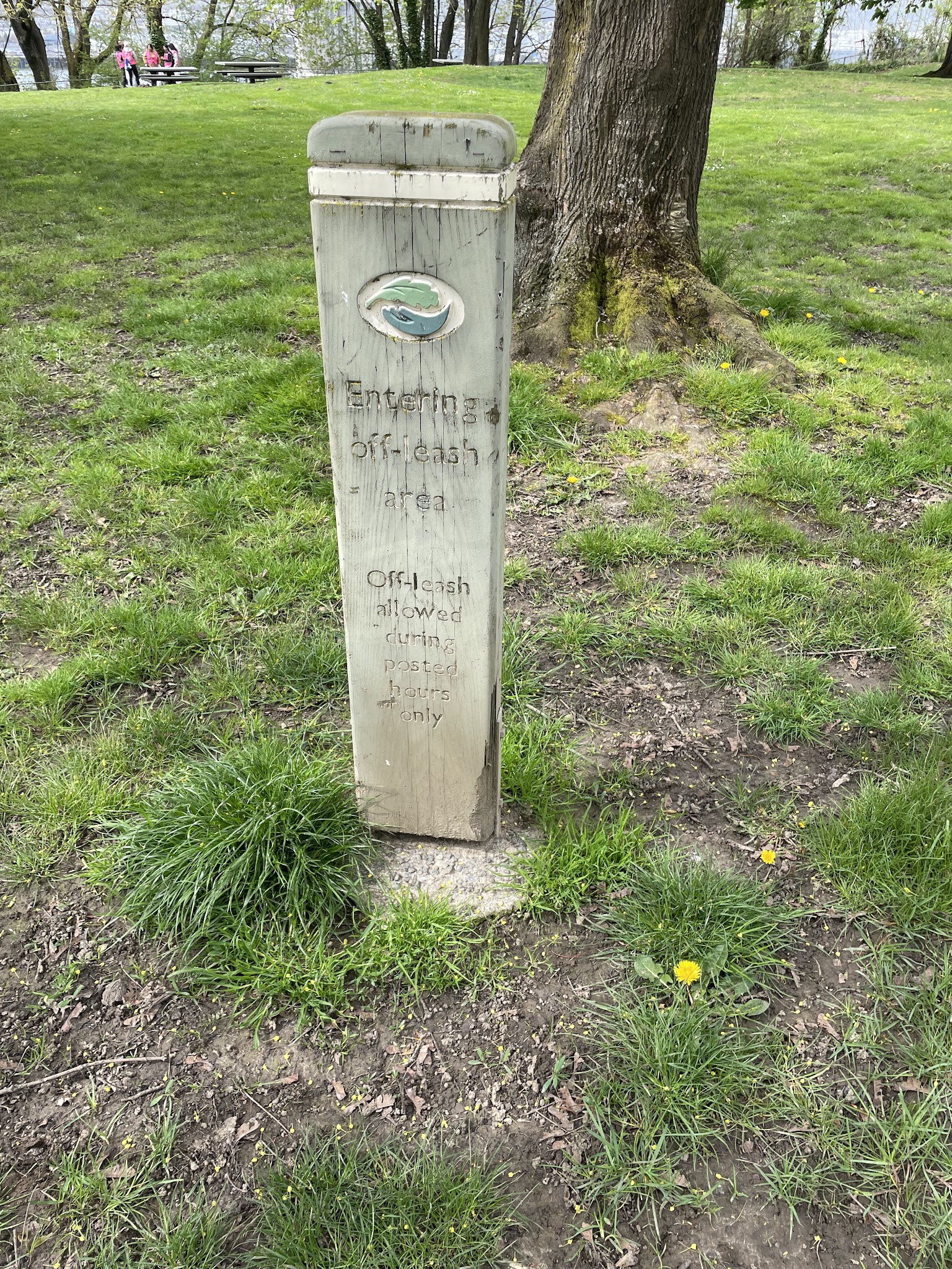 Off-Leash Dog Area - Portland, OR