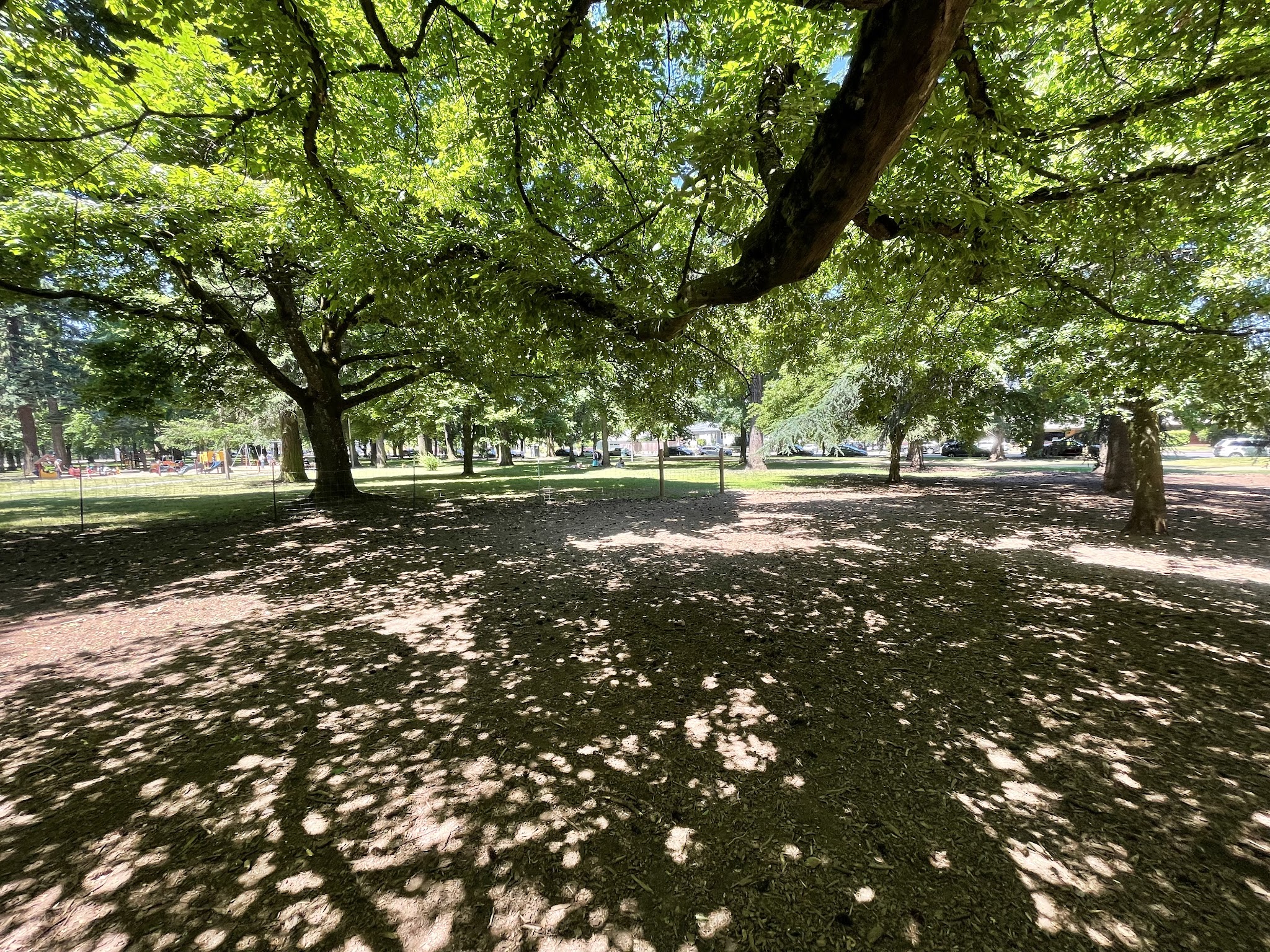Off-Leash Dog Area - Portland, OR