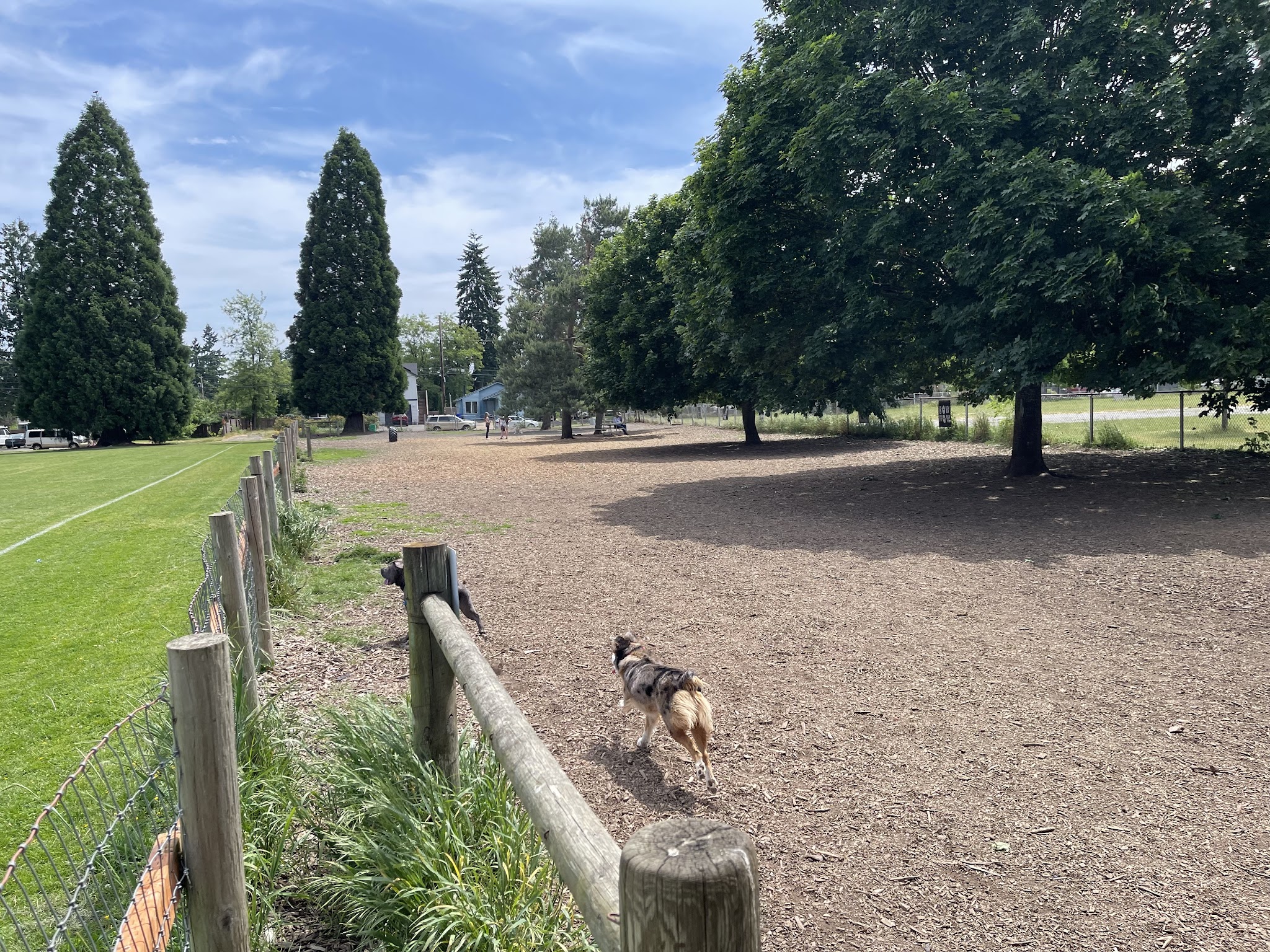 Off-Leash Dog Area - Portland, OR