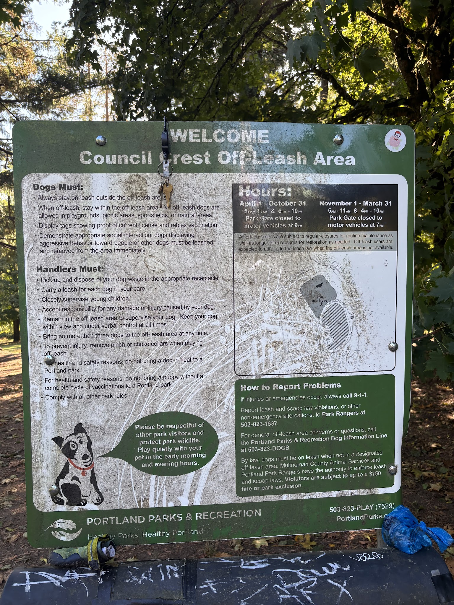 Off-Leash Dog Park - Portland, OR