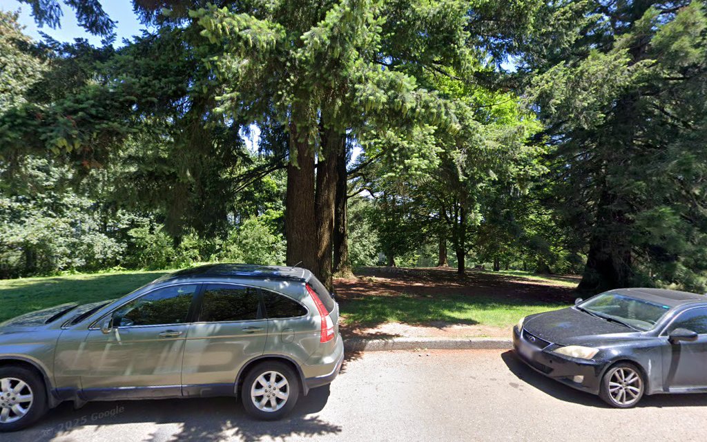 Off-Leash Dog Park - Portland, OR