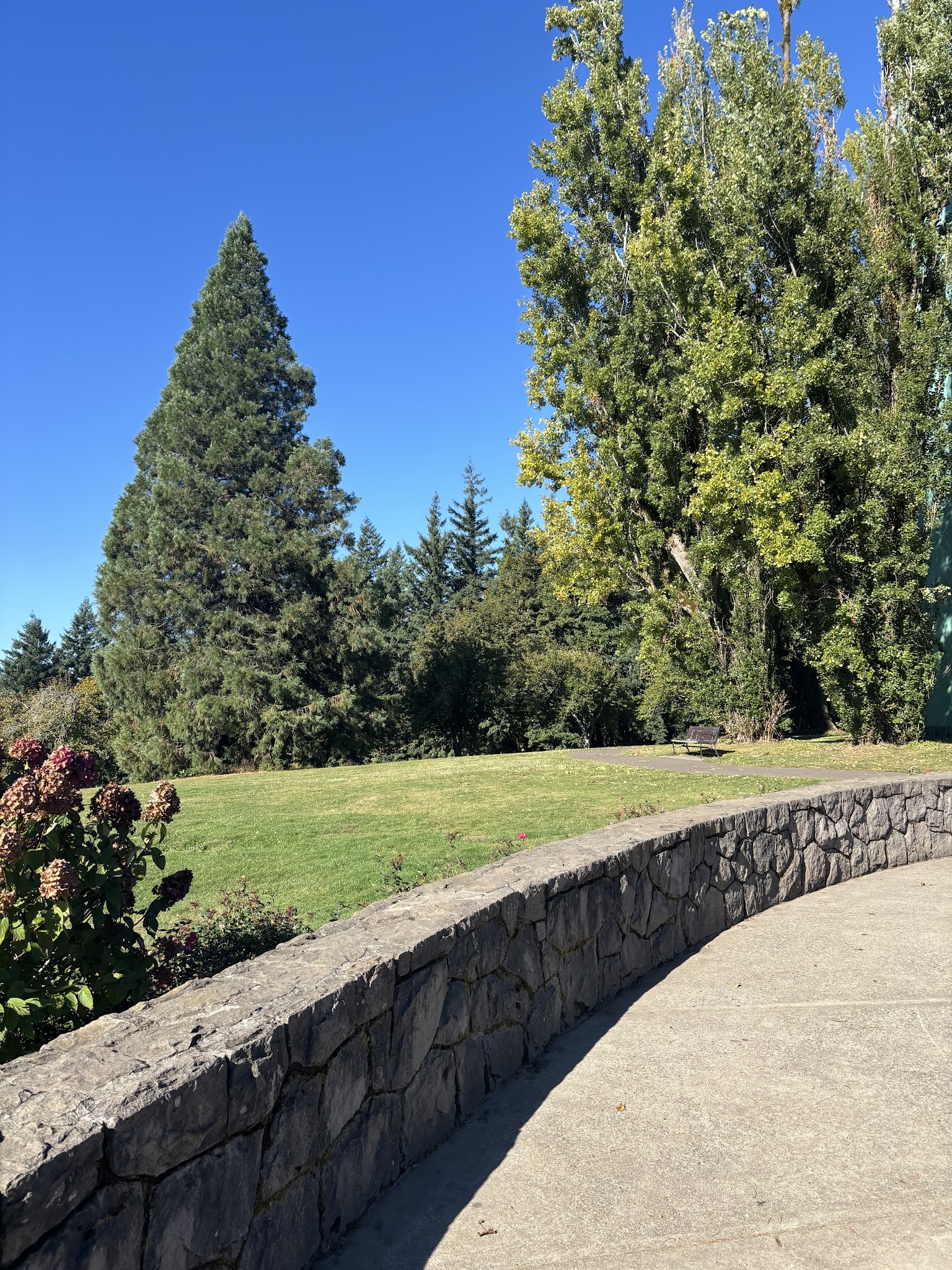 Off-Leash Dog Park - Portland, OR