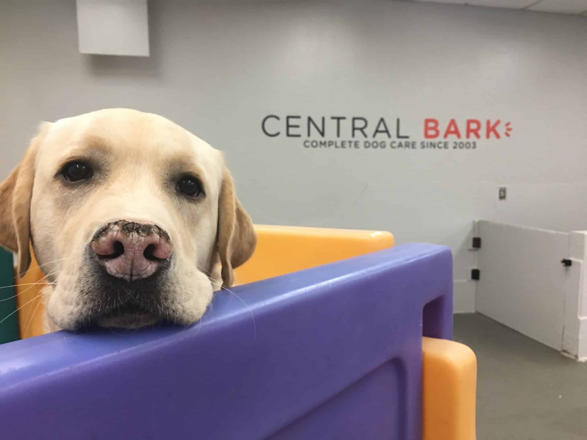 Original Bark - Portland, OR