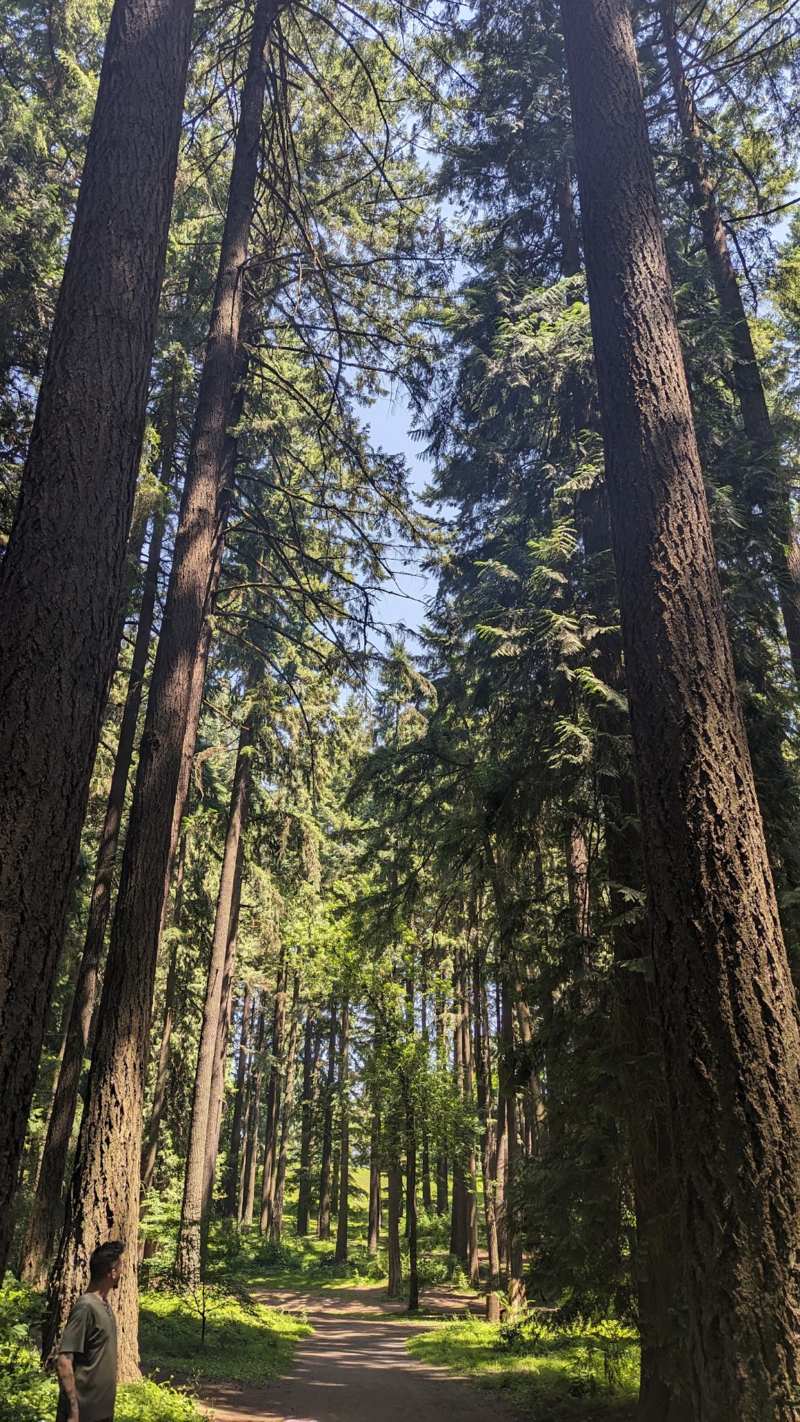 Pier Park - Portland, OR