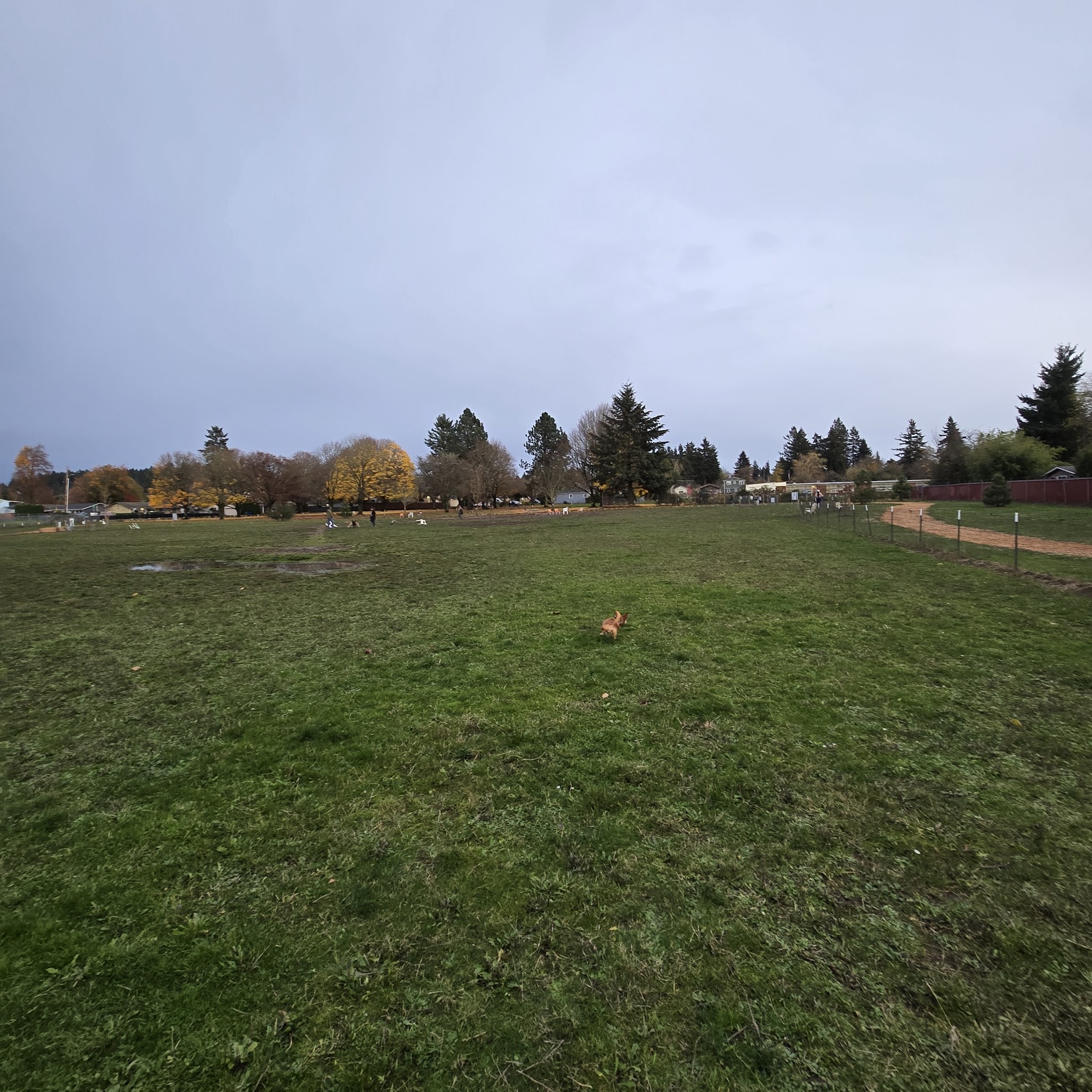 Sacajawea Fenced Off-Leash Dog Park - Portland, OR