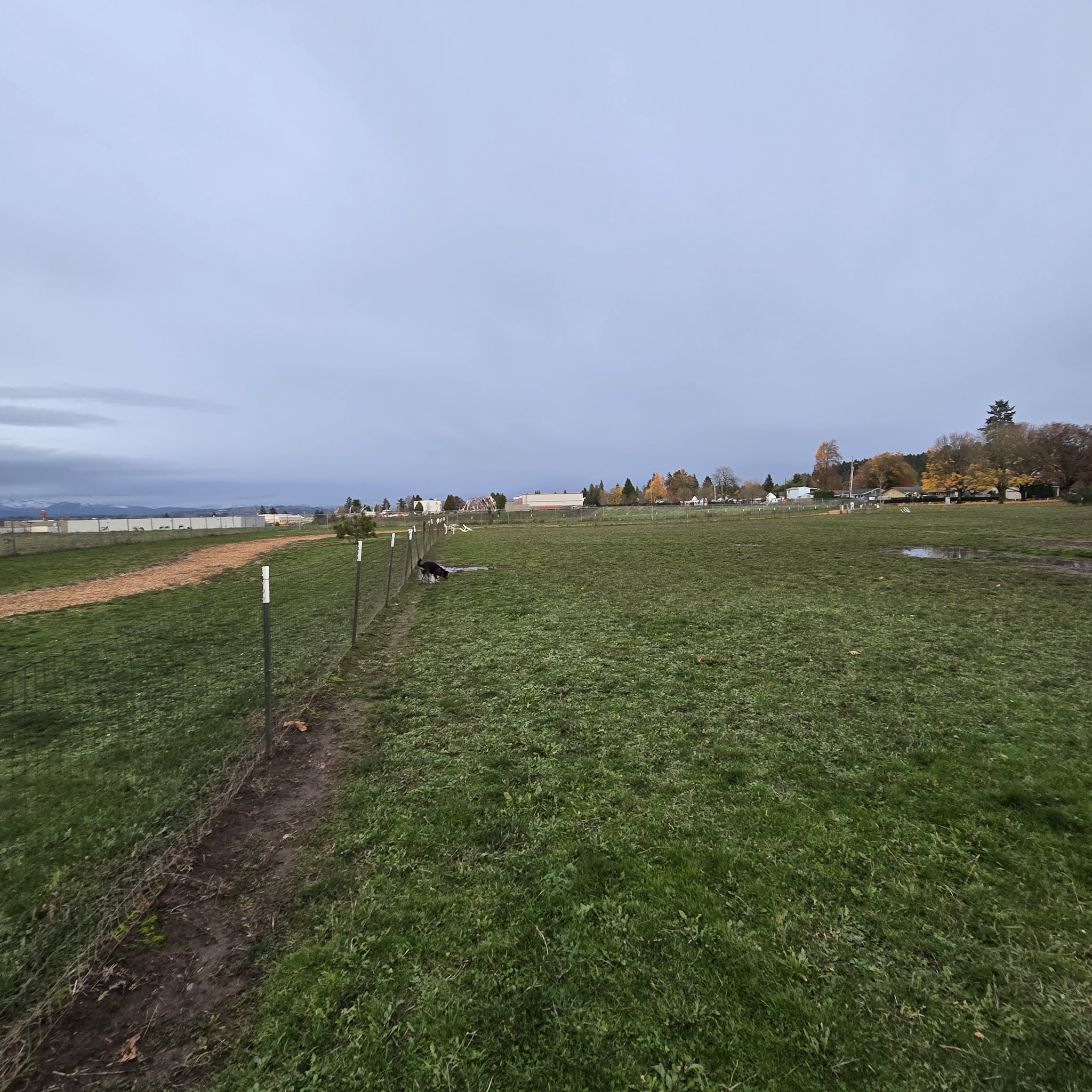 Sacajawea Fenced Off-Leash Dog Park - Portland, OR