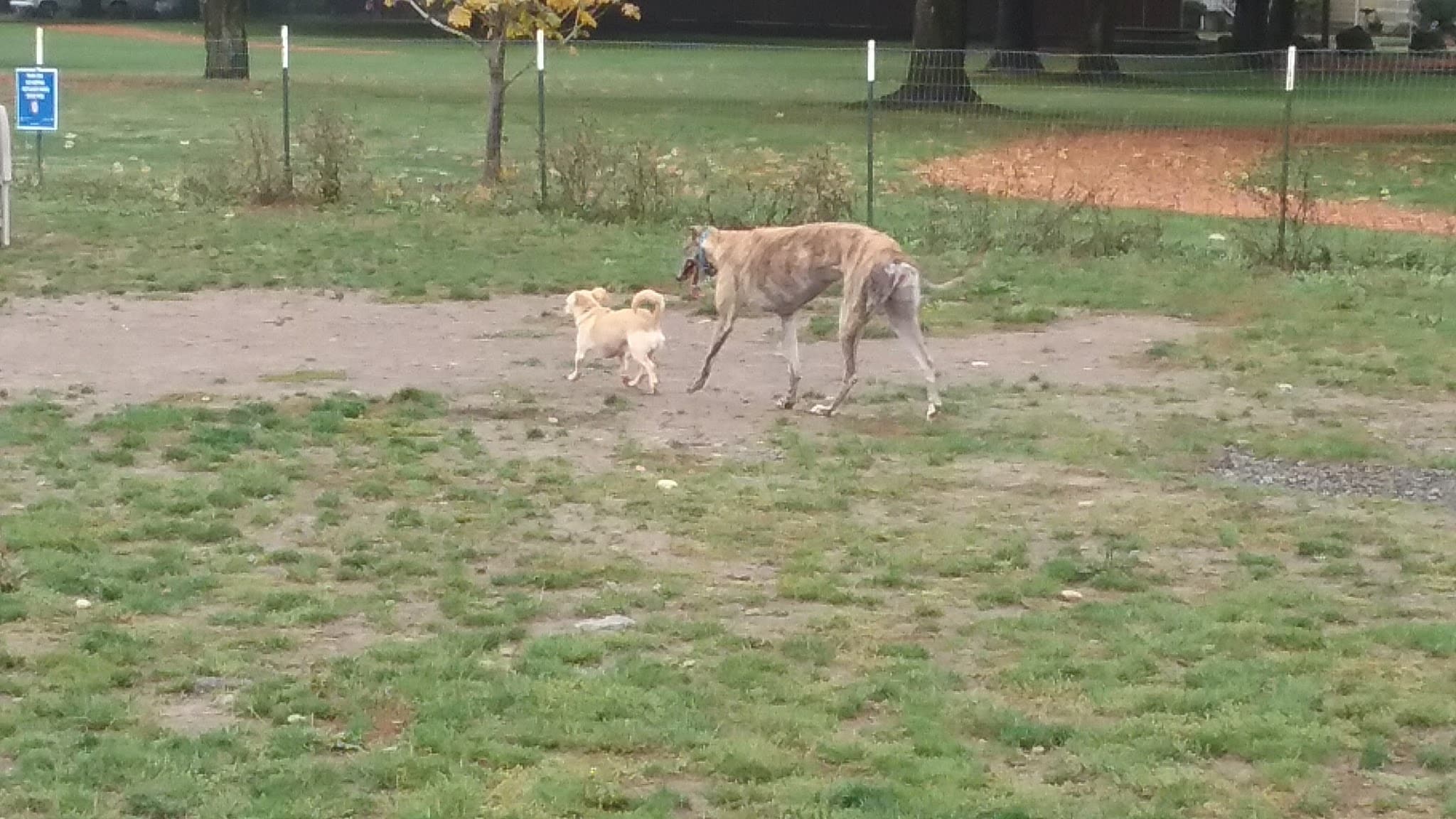Sacajawea Park - Portland, OR
