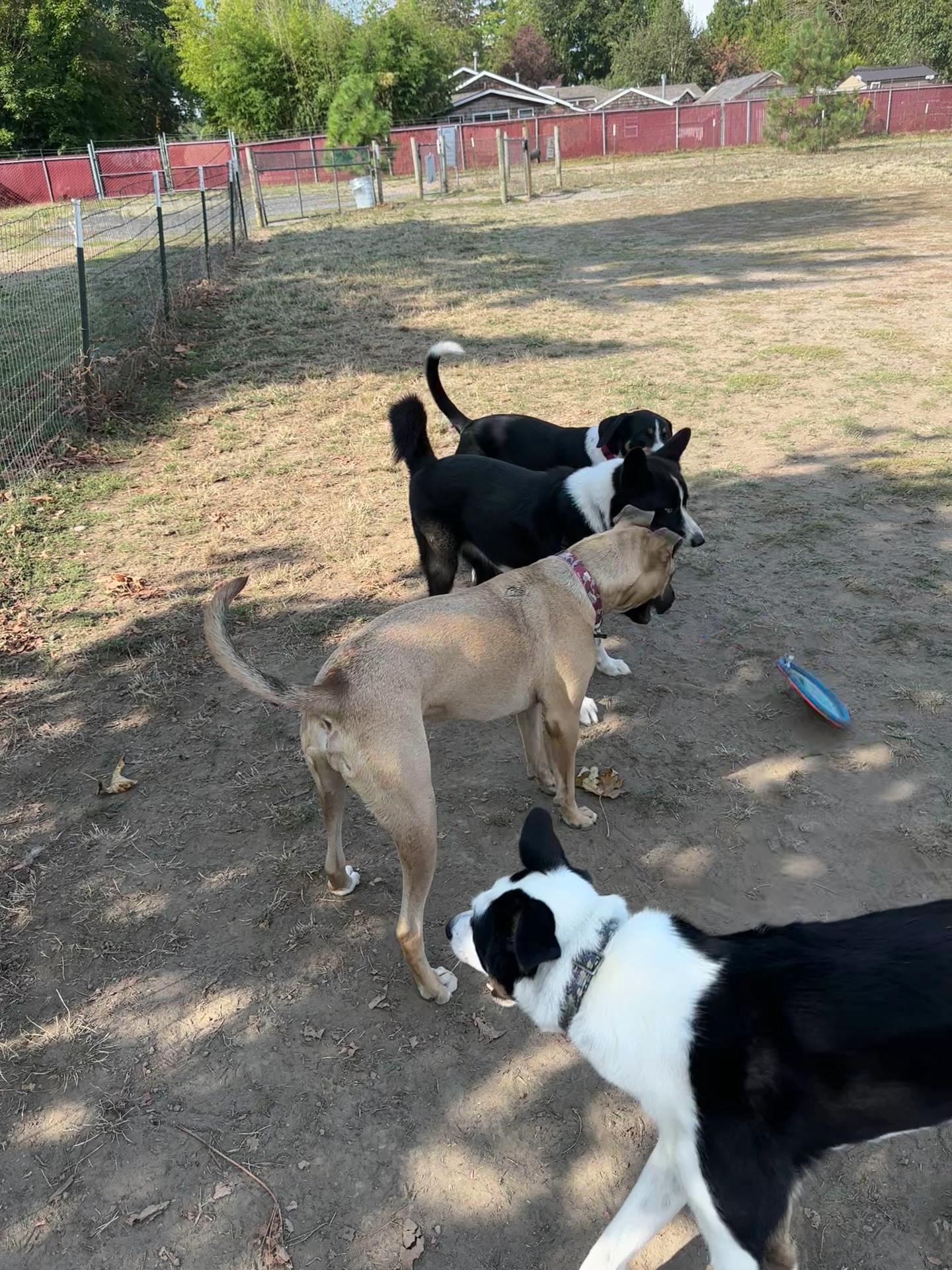 Sacajawea Park - Portland, OR