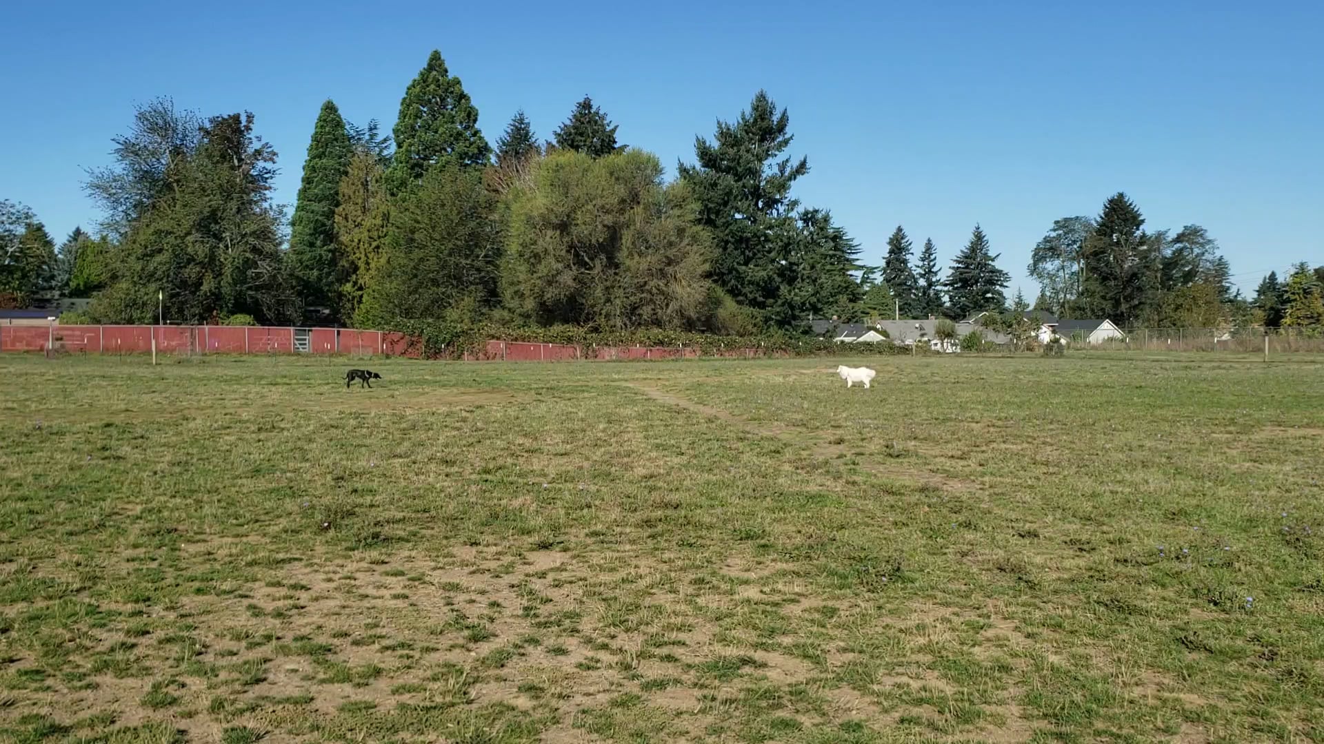 Sacajawea Park - Portland, OR