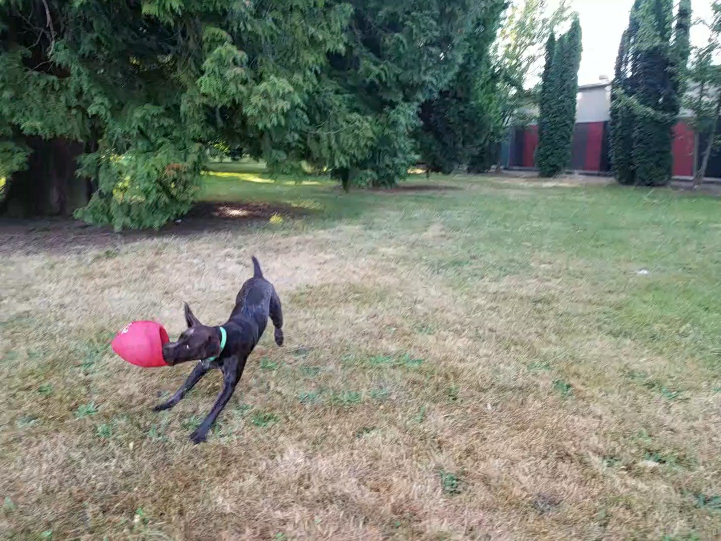 University Park - Portland, OR