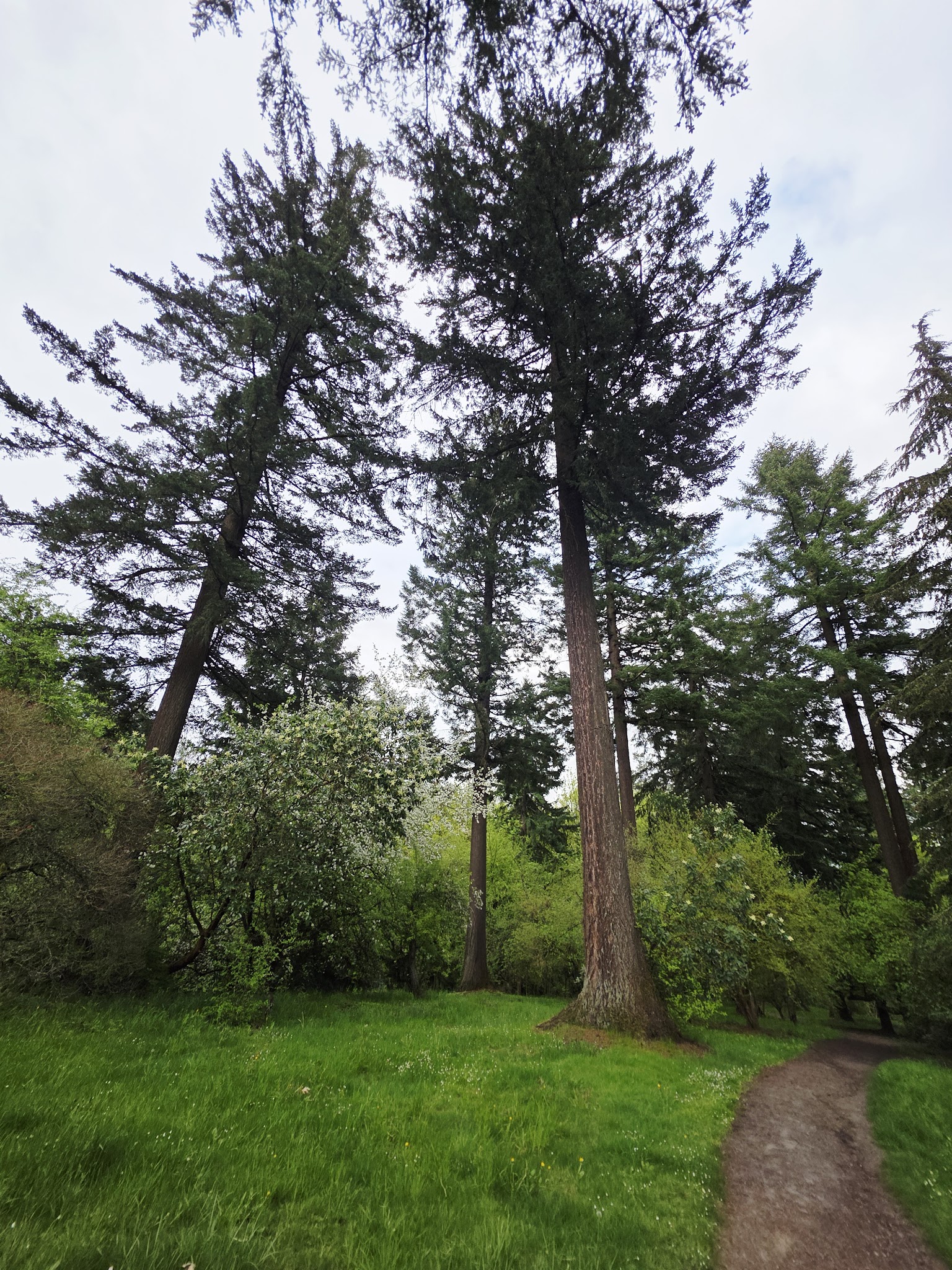 Volcano Vista - Portland, OR