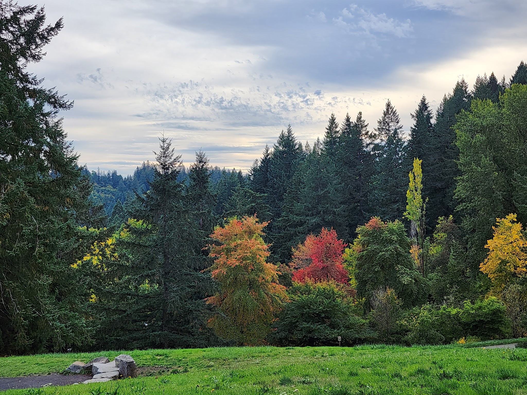 Volcano Vista - Portland, OR