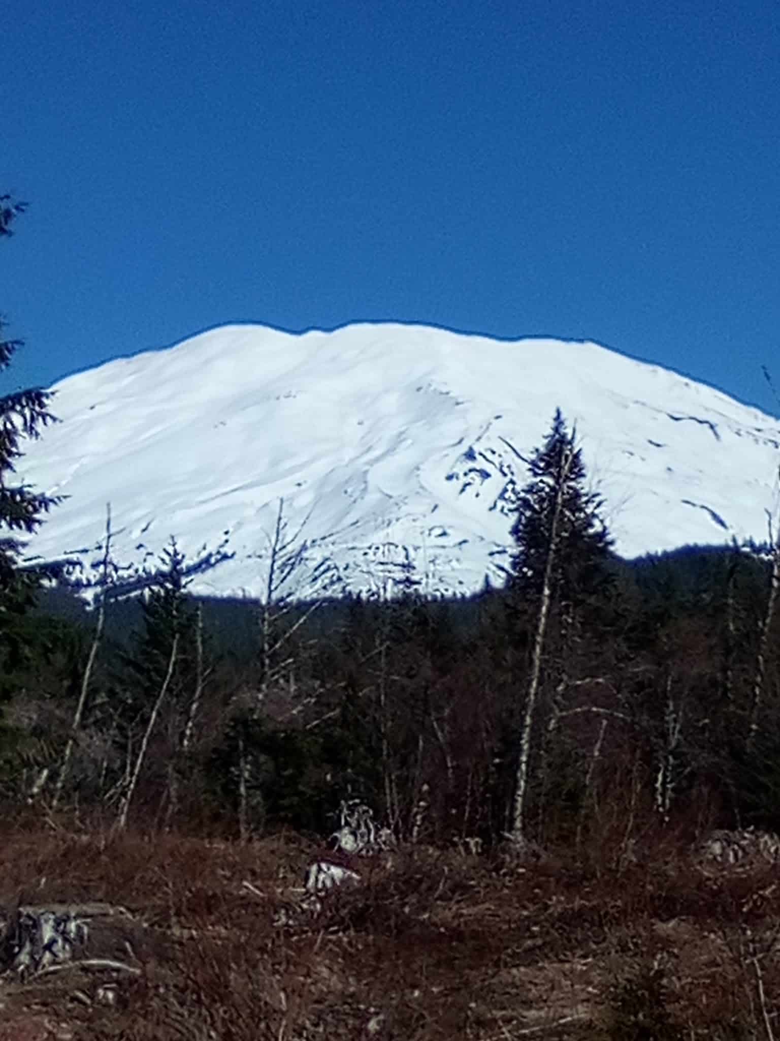 Volcano Vista - Portland, OR