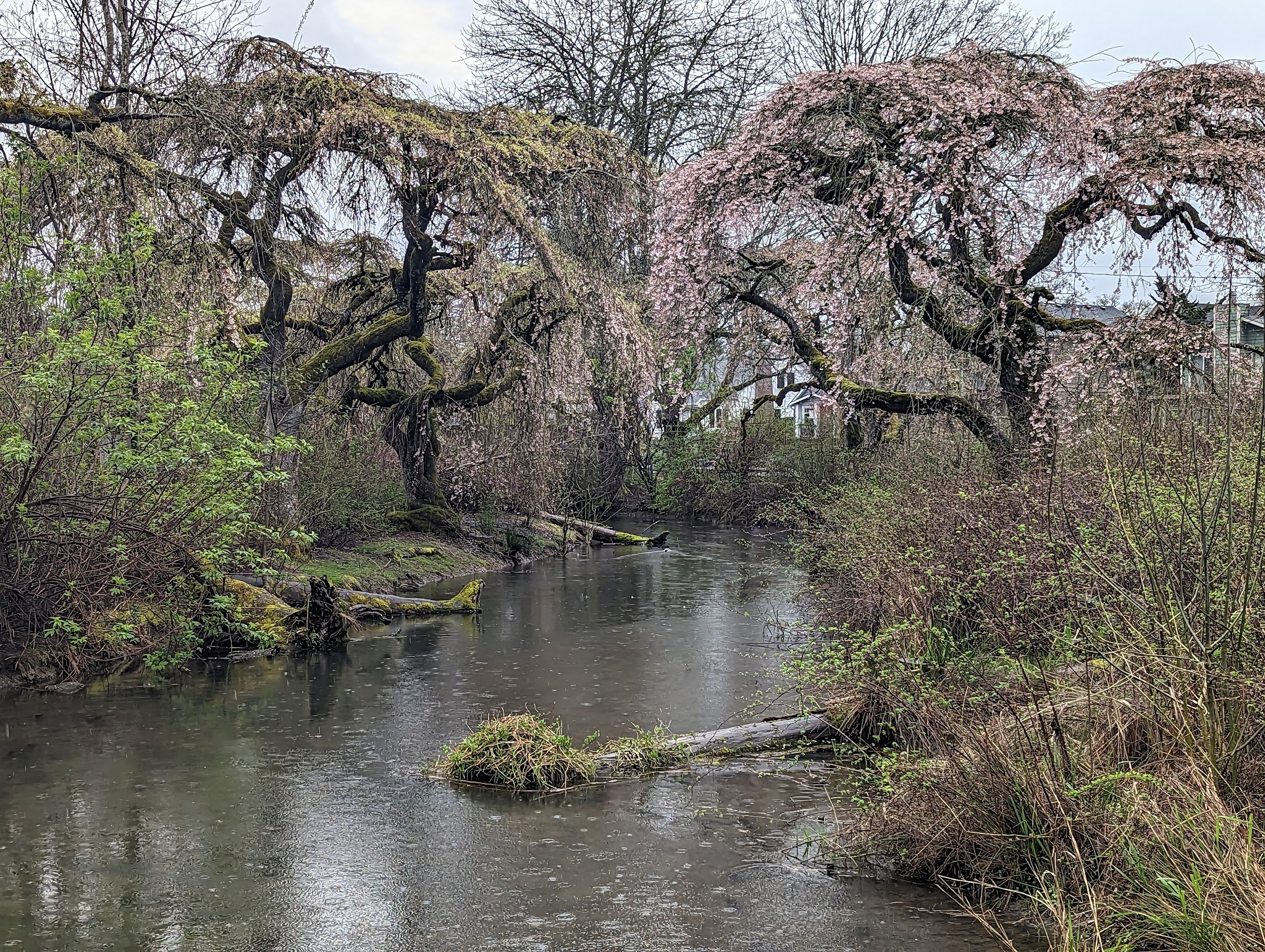 Westmoreland Park - Portland, OR