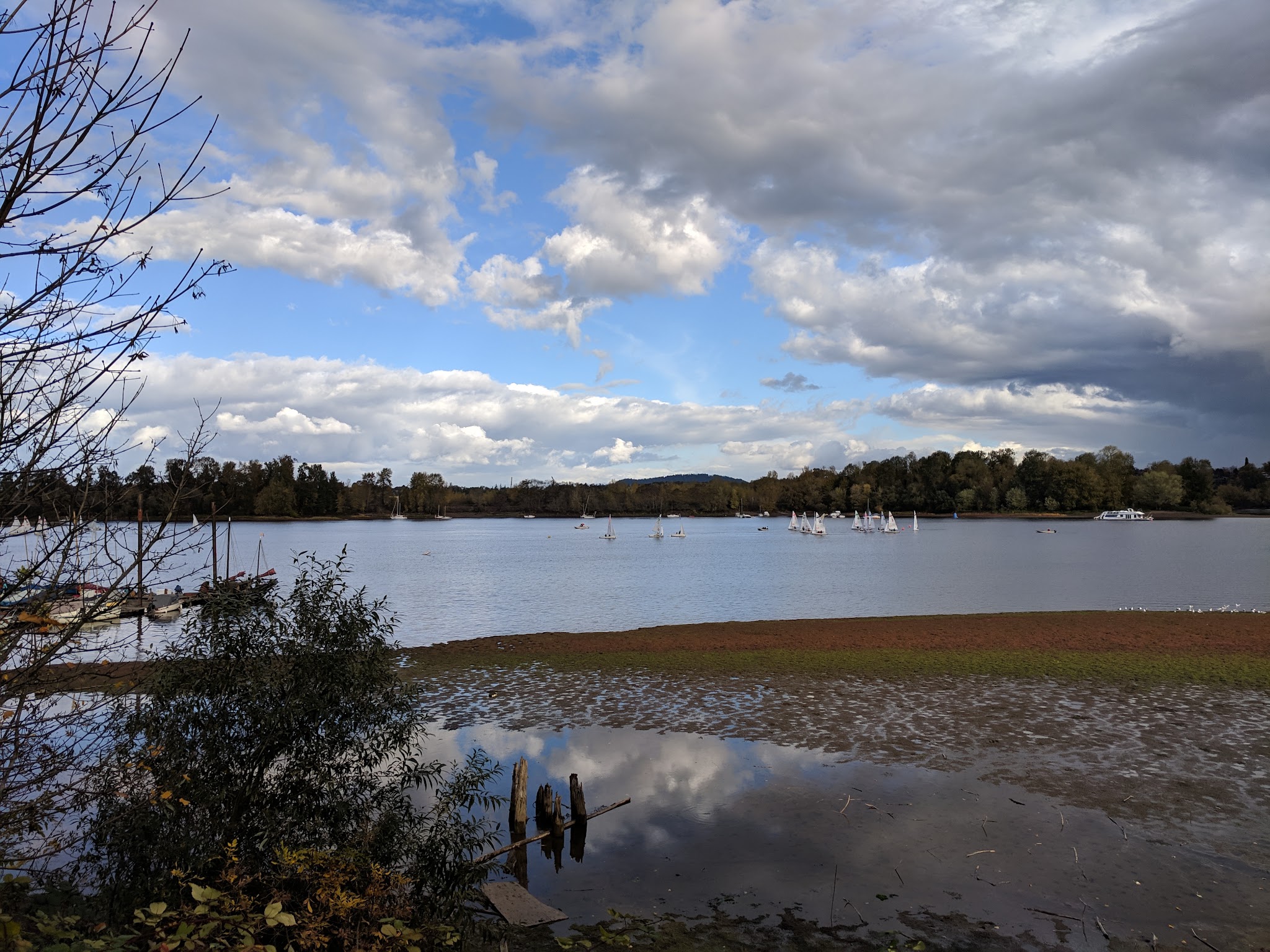 Willamette Park - Portland, OR