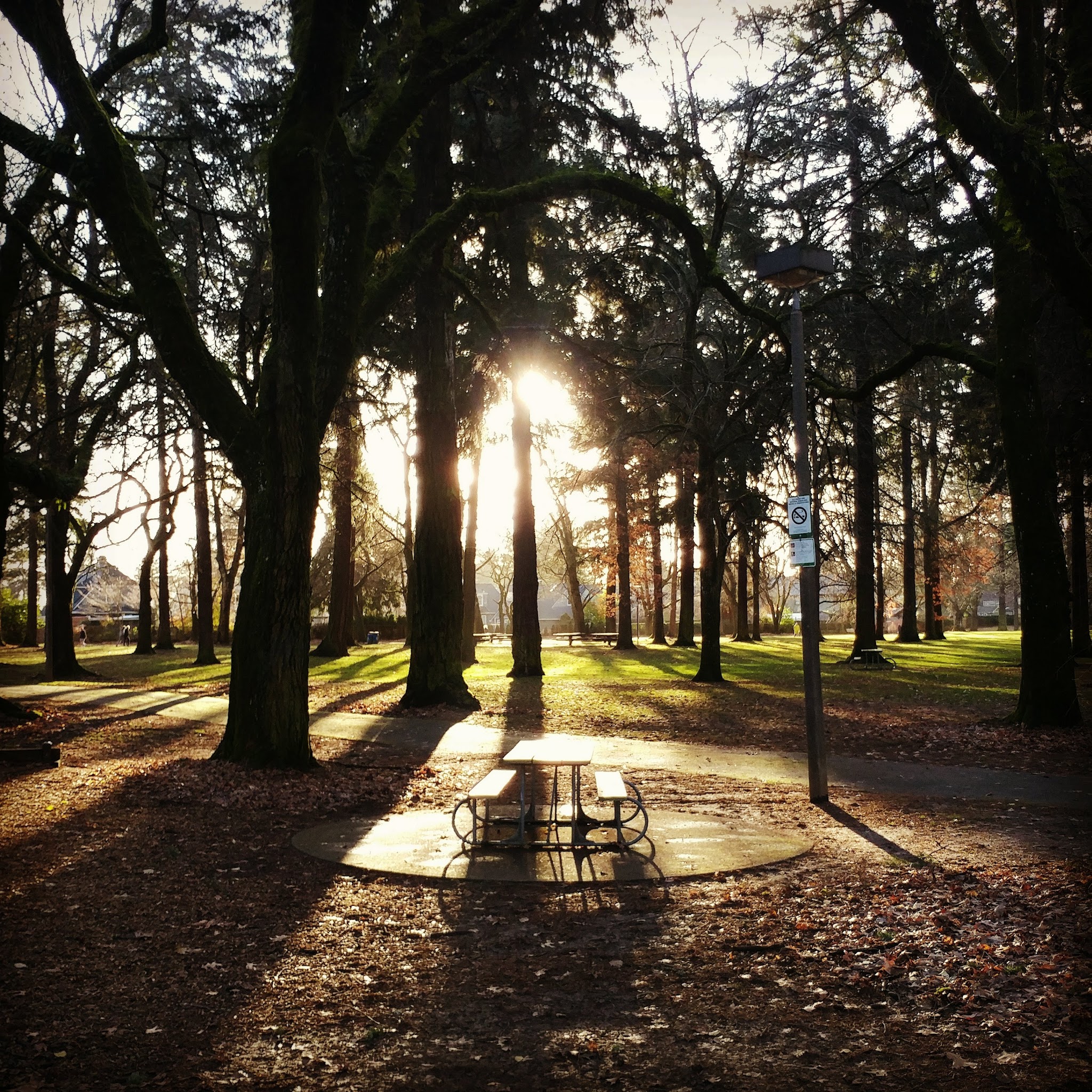 Wilshire Park - Portland, OR