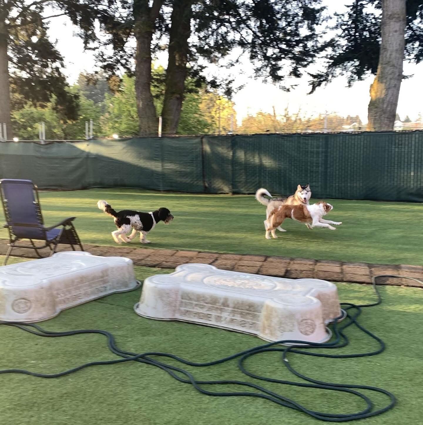 Woof-Tastic Playhouse - Portland, OR