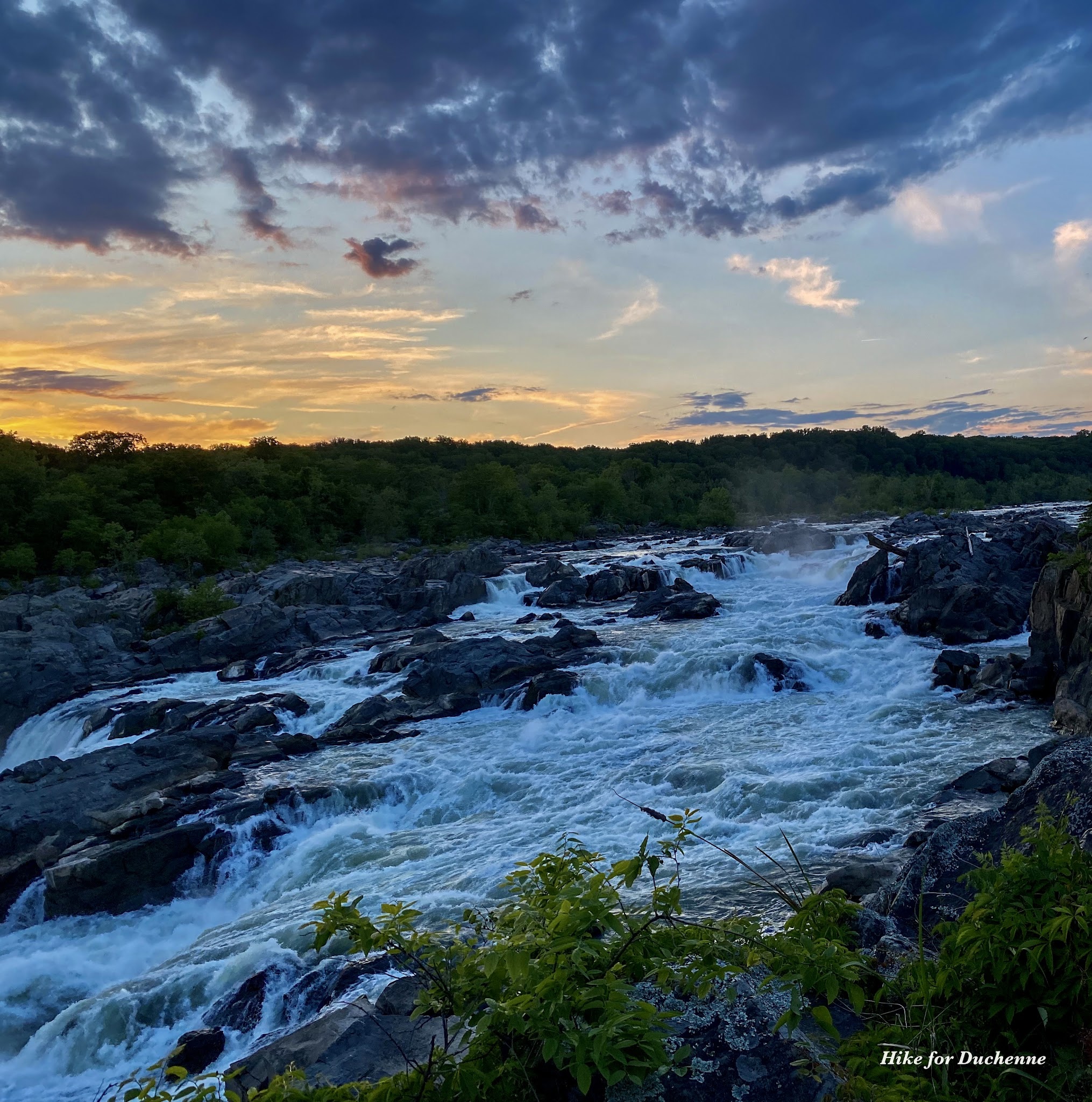 Great Falls - Potomac, MD