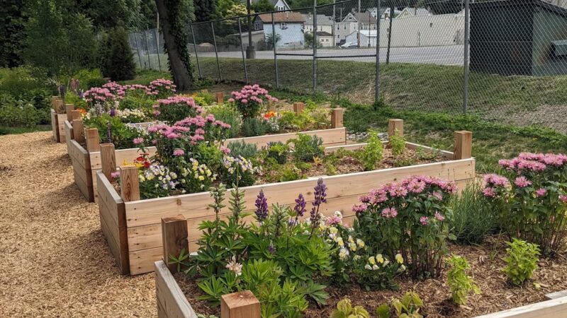 Malcolm X Park - Poughkeepsie, NY